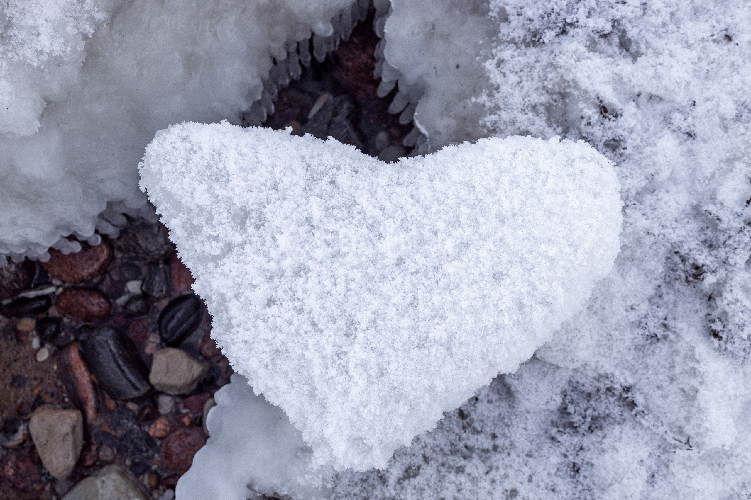 Street Photography. Portree- ja perefotograaf Anton Hansen Tallinnas, Eestis