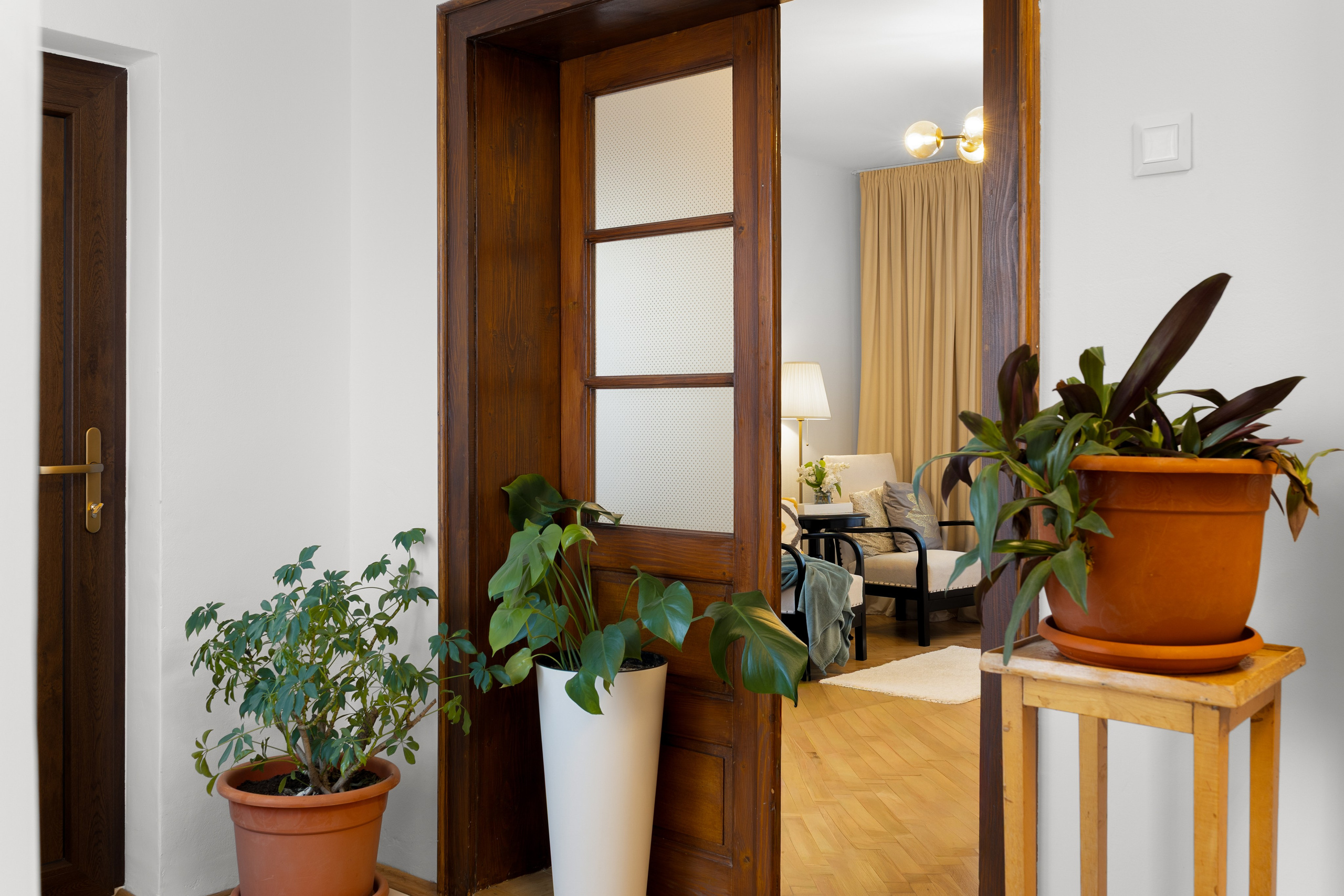INTERIOR - REALESTATE. Samuel Ciobanu