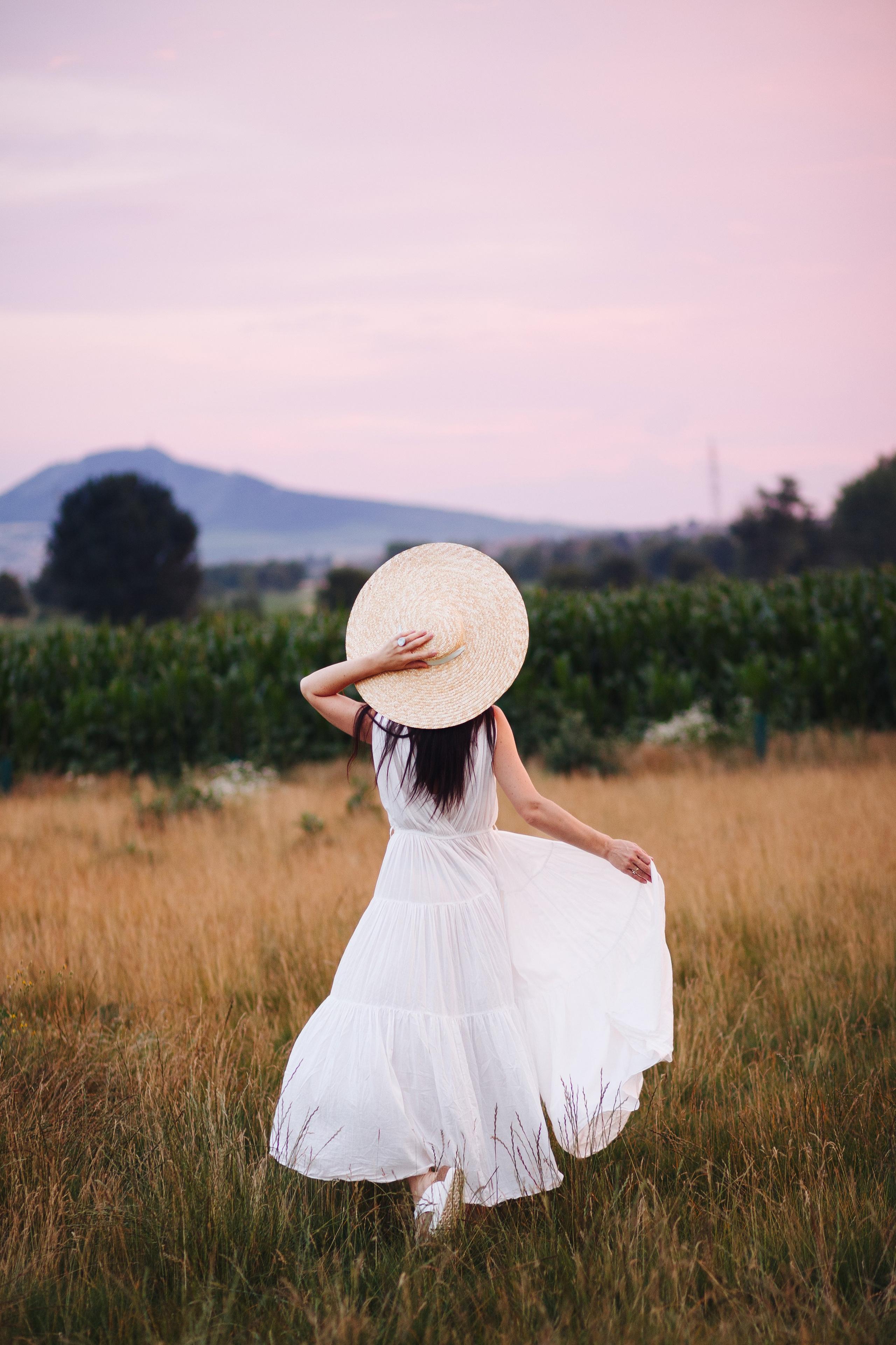 Lavender. Photographer in Prague for tourists