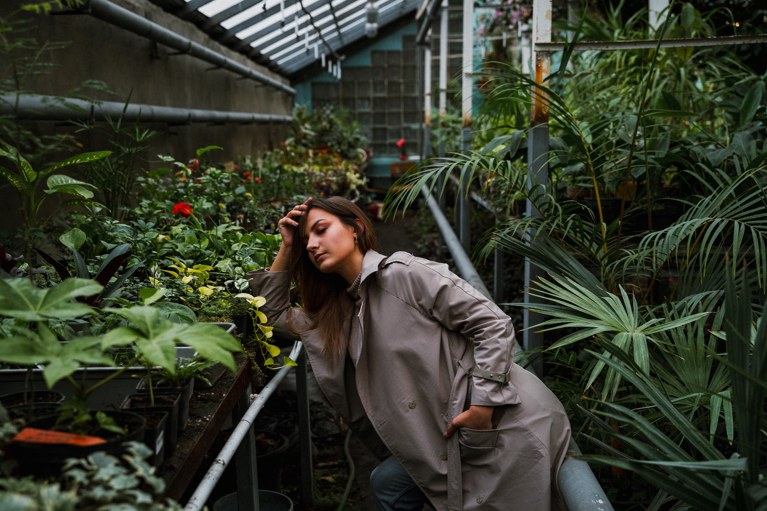 Photo session in a greenhouse in Tbilisi. Photo session in the Tbilisi Botanical Garden