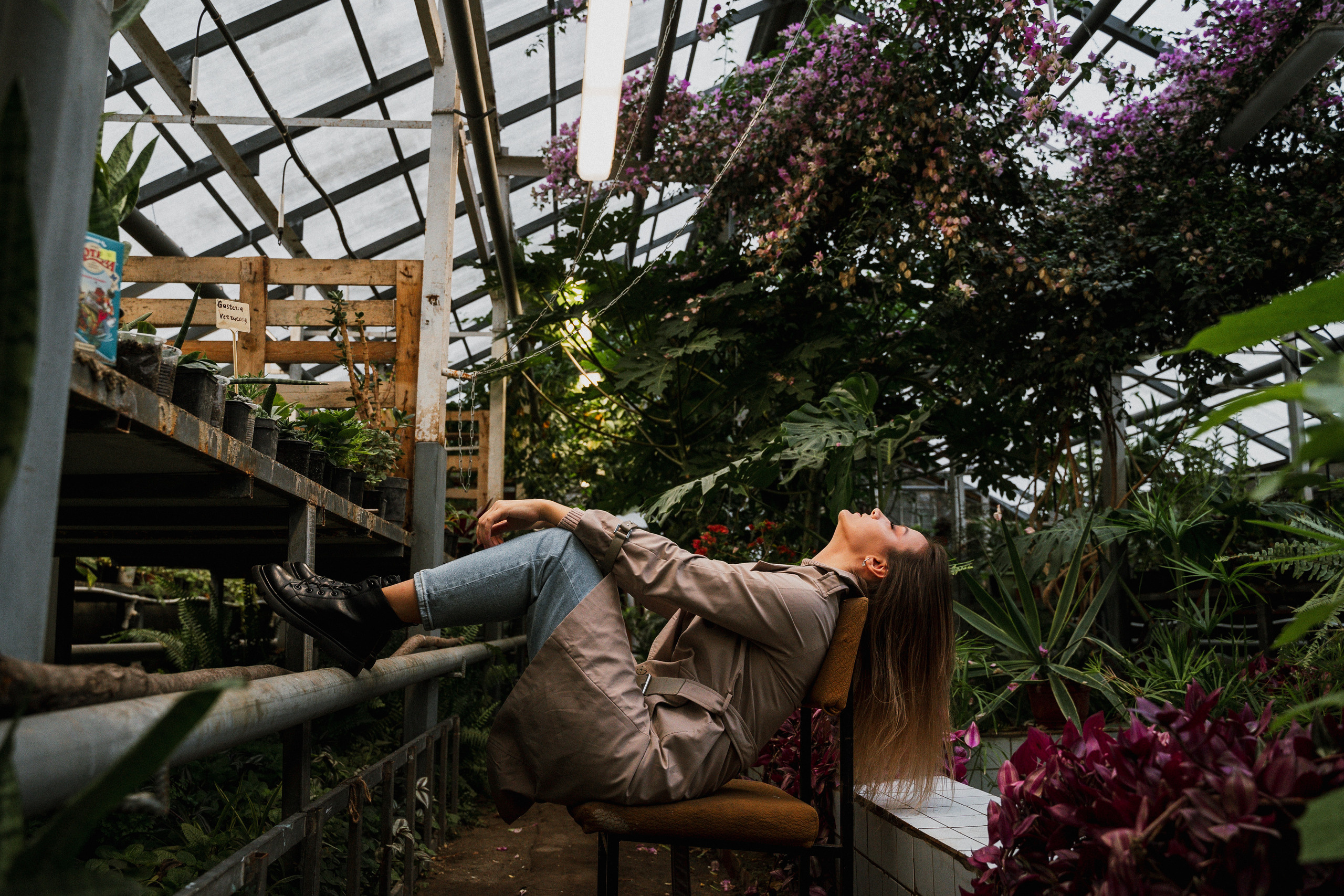 Photo session in a greenhouse in Tbilisi. Photo session in the Tbilisi Botanical Garden