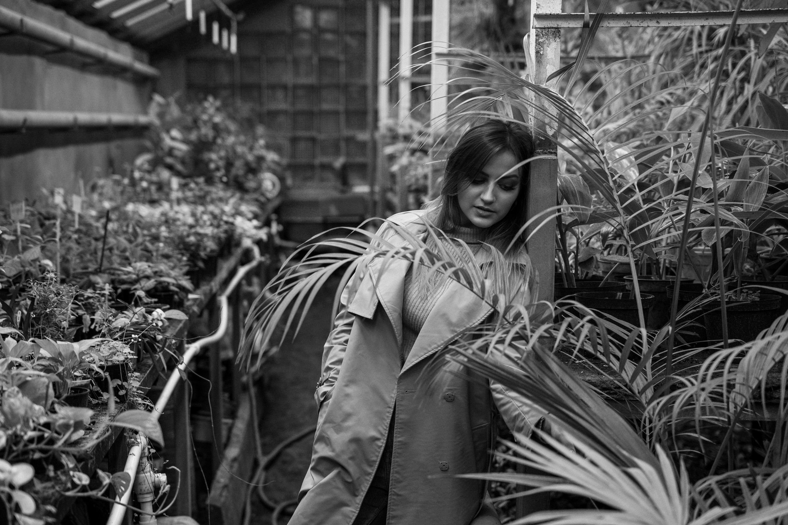 Photo session in a greenhouse in Tbilisi. Photo session in the Tbilisi Botanical Garden