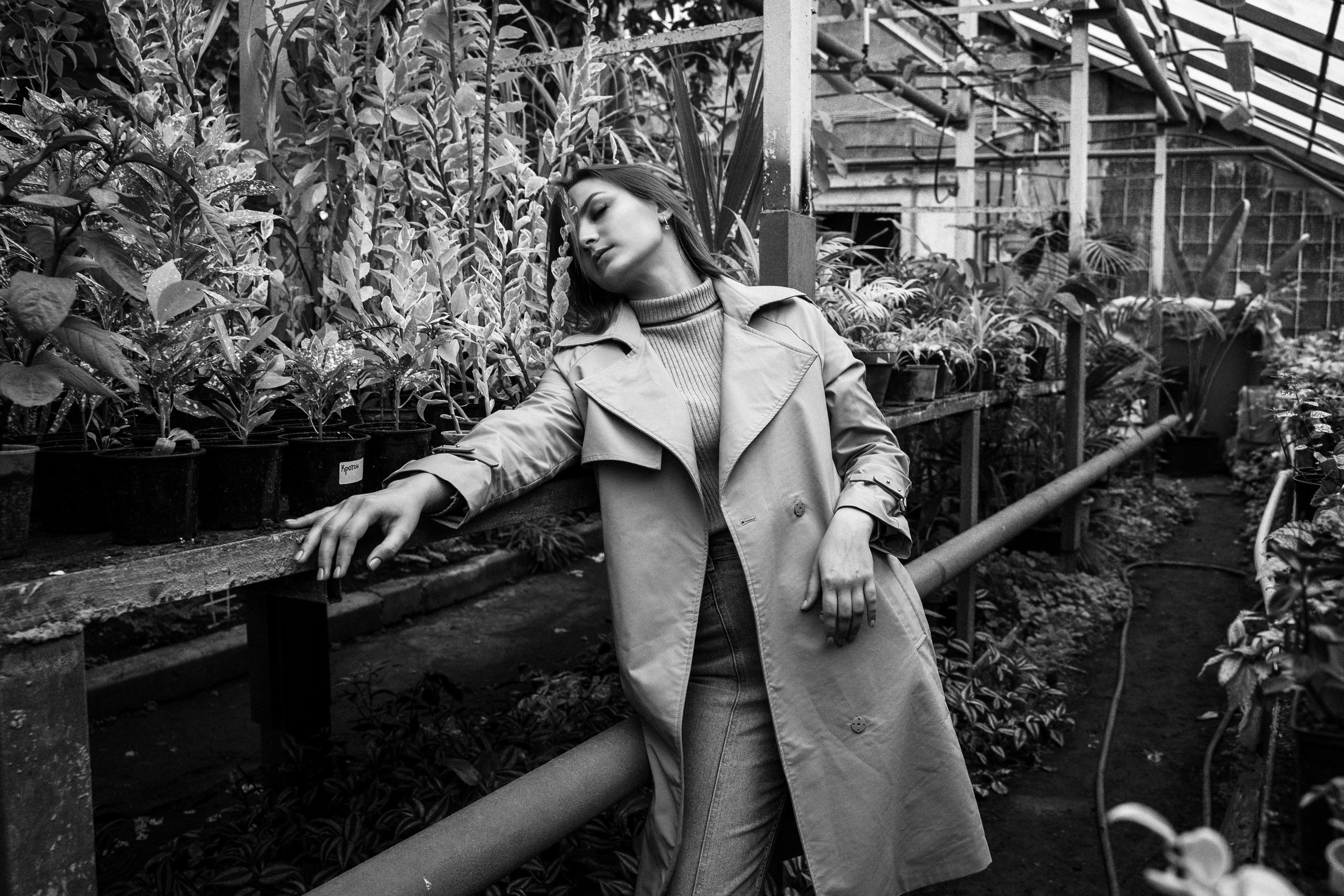 Photo session in a greenhouse in Tbilisi. Photo session in the Tbilisi Botanical Garden