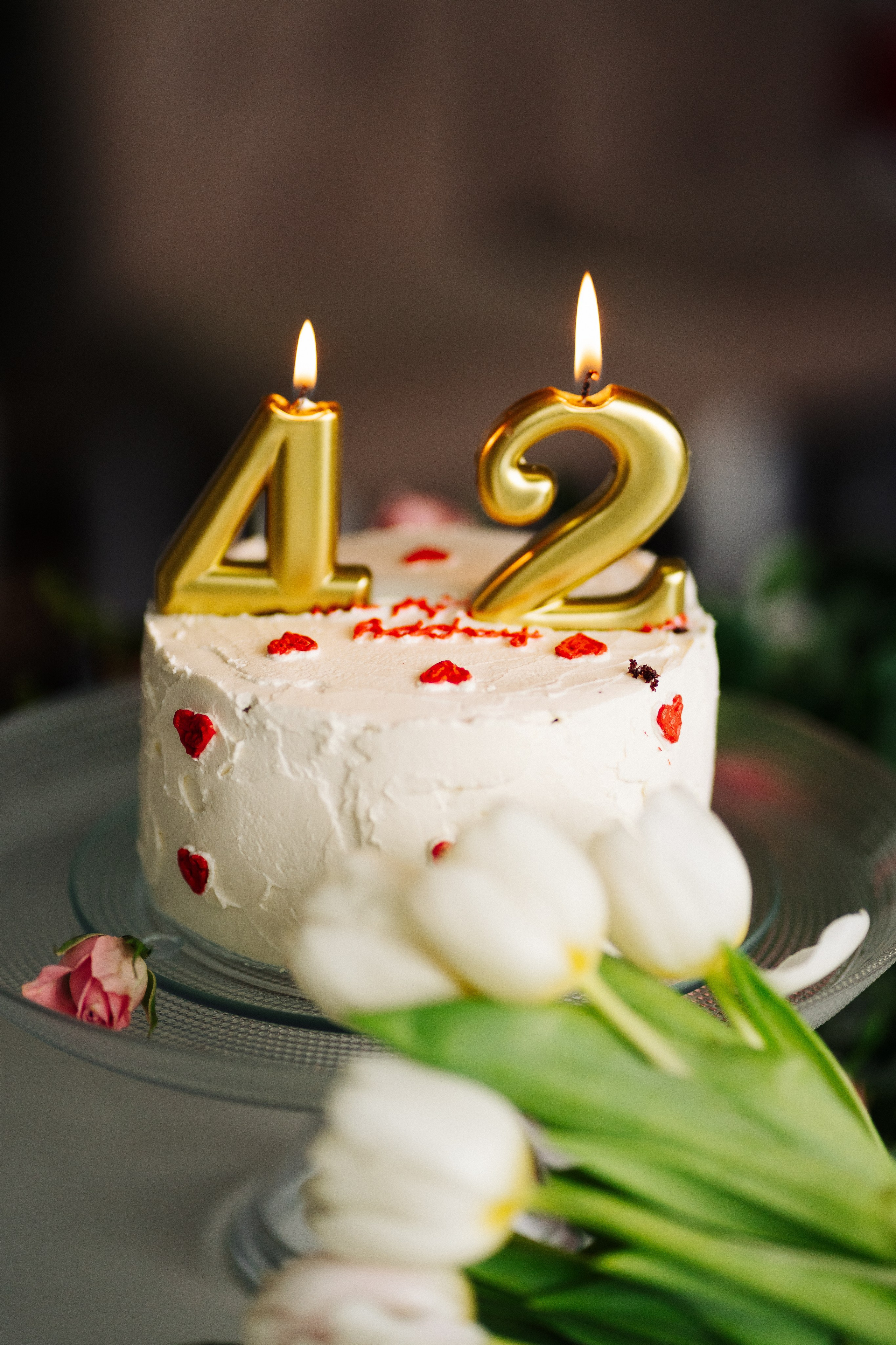 LENA BDAY. PHOTOGRAPHER|VIDEOGRAPHER MONTENEGRO