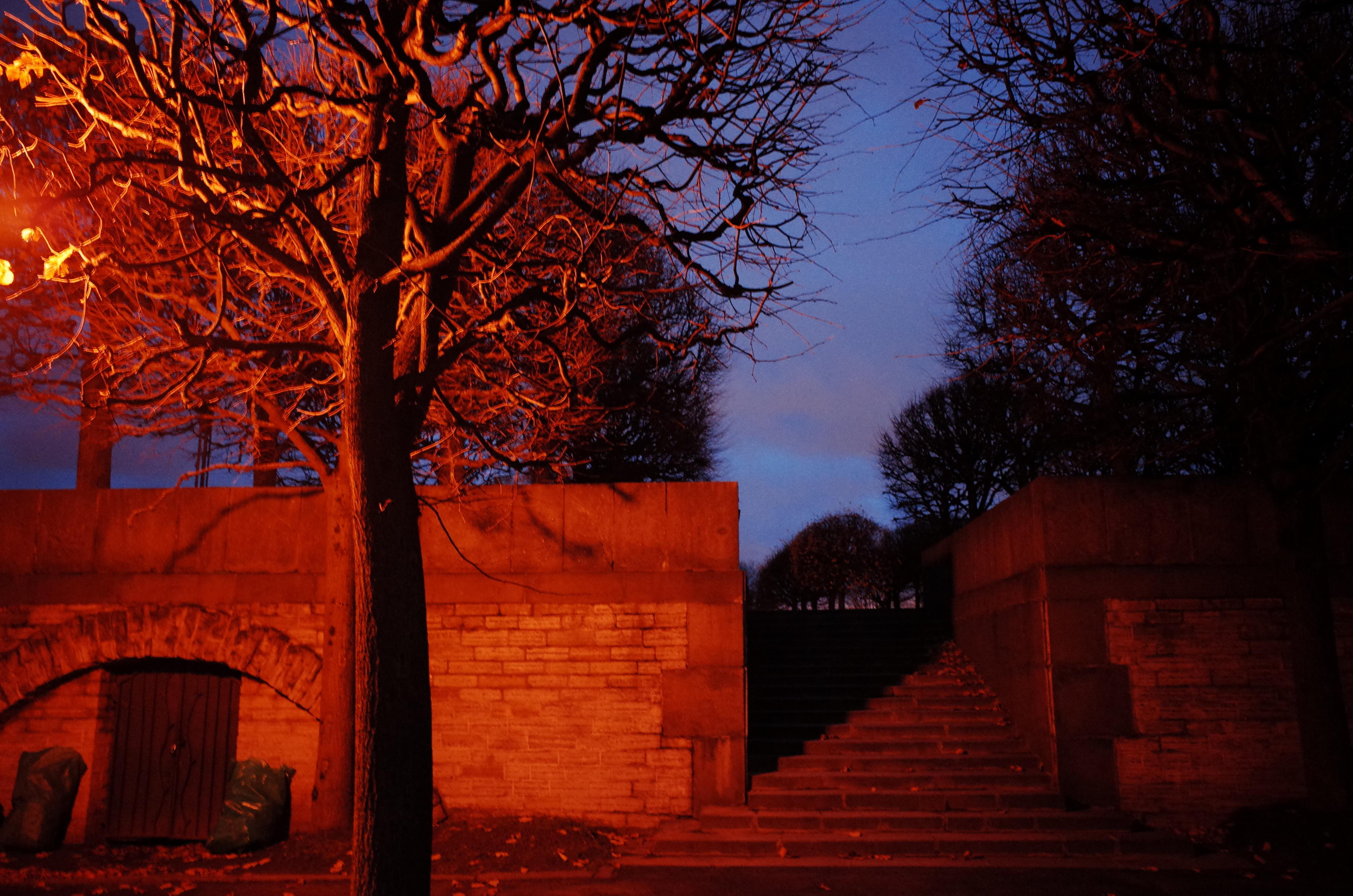 Portfolio. Victoria Dini. Art photography in London / Folkestone, UK