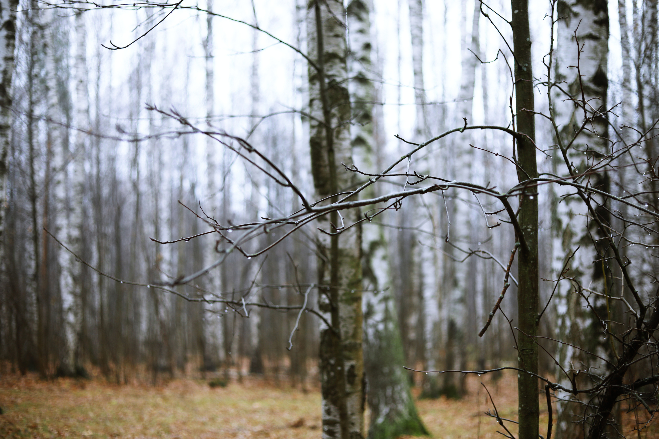 Portfolio. Victoria Dini. Art photography in London / Folkestone, UK