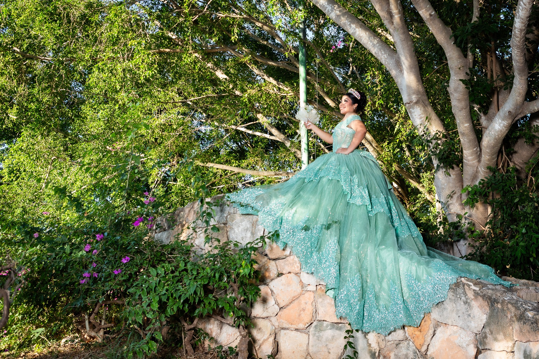 Xv años Danna