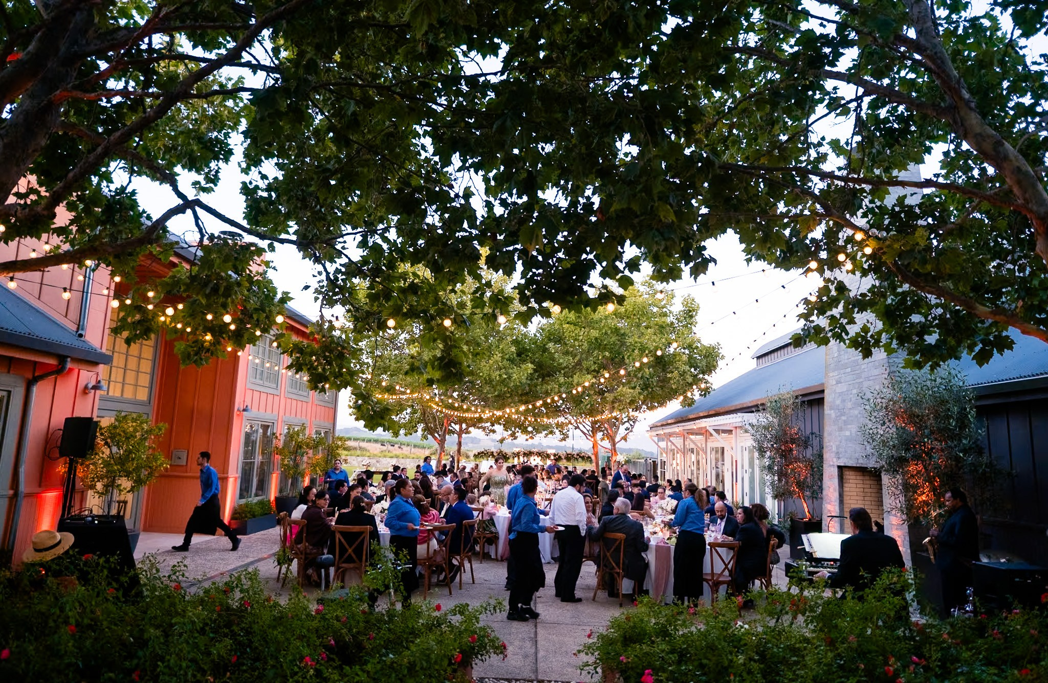 Rosy & Erik / San Francisco. Wedding and family photographer in Mexico City