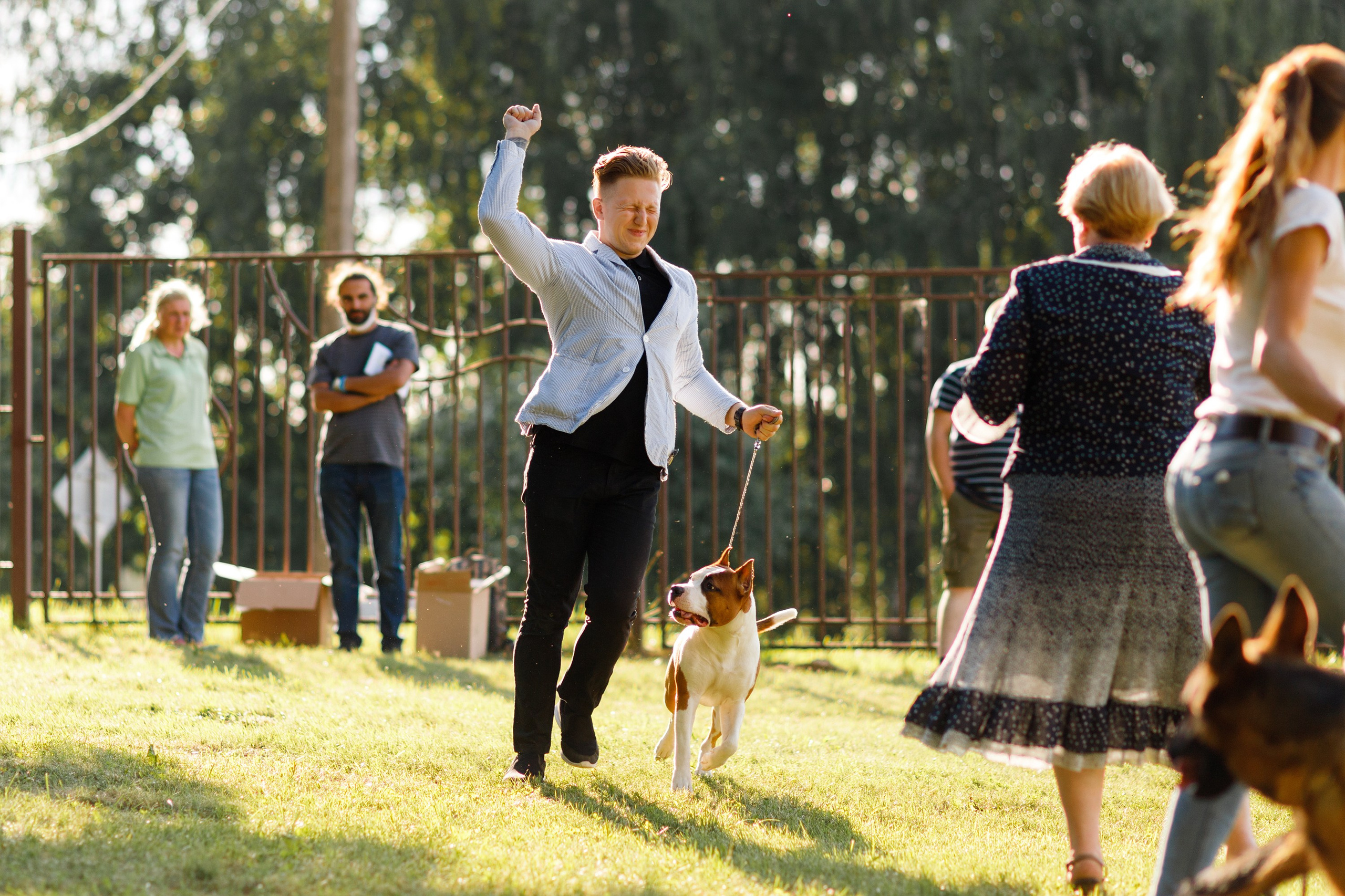 Dog shows | the best ones. Kaja | fotograf psów we Wrocławiu