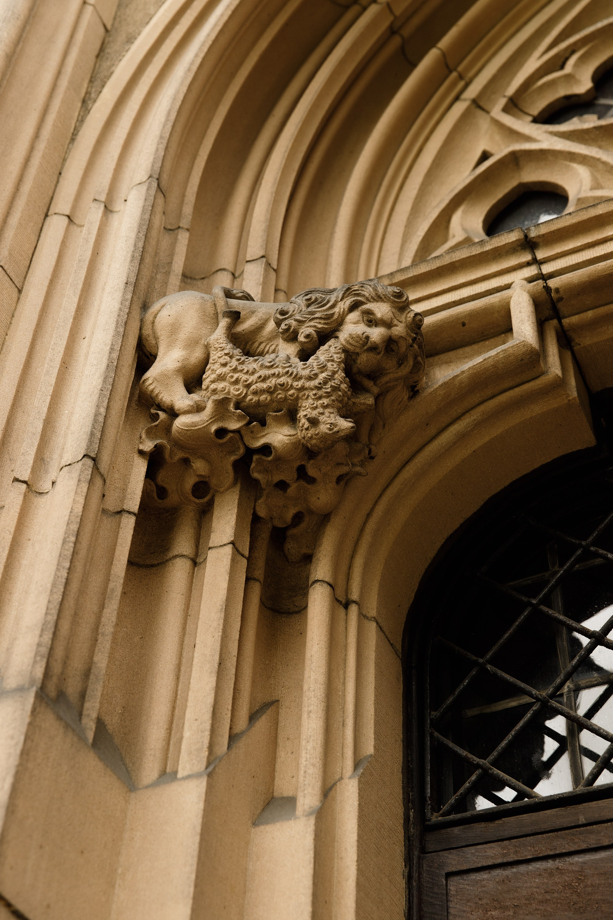 Oleśnica castle. Kaja | fotograf psów we Wrocławiu