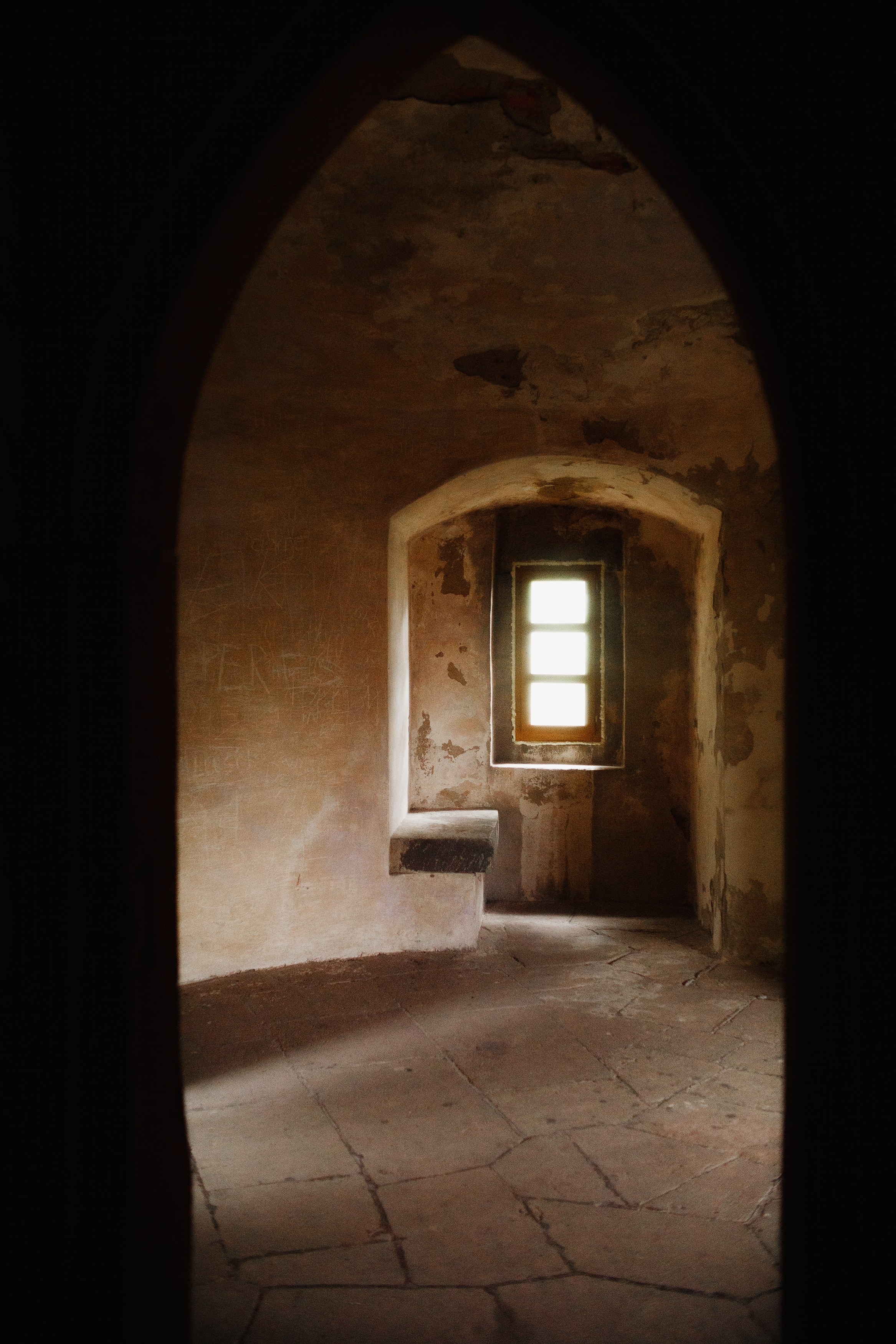 Zamek Grodziec. Kaja | fotograf psów we Wrocławiu