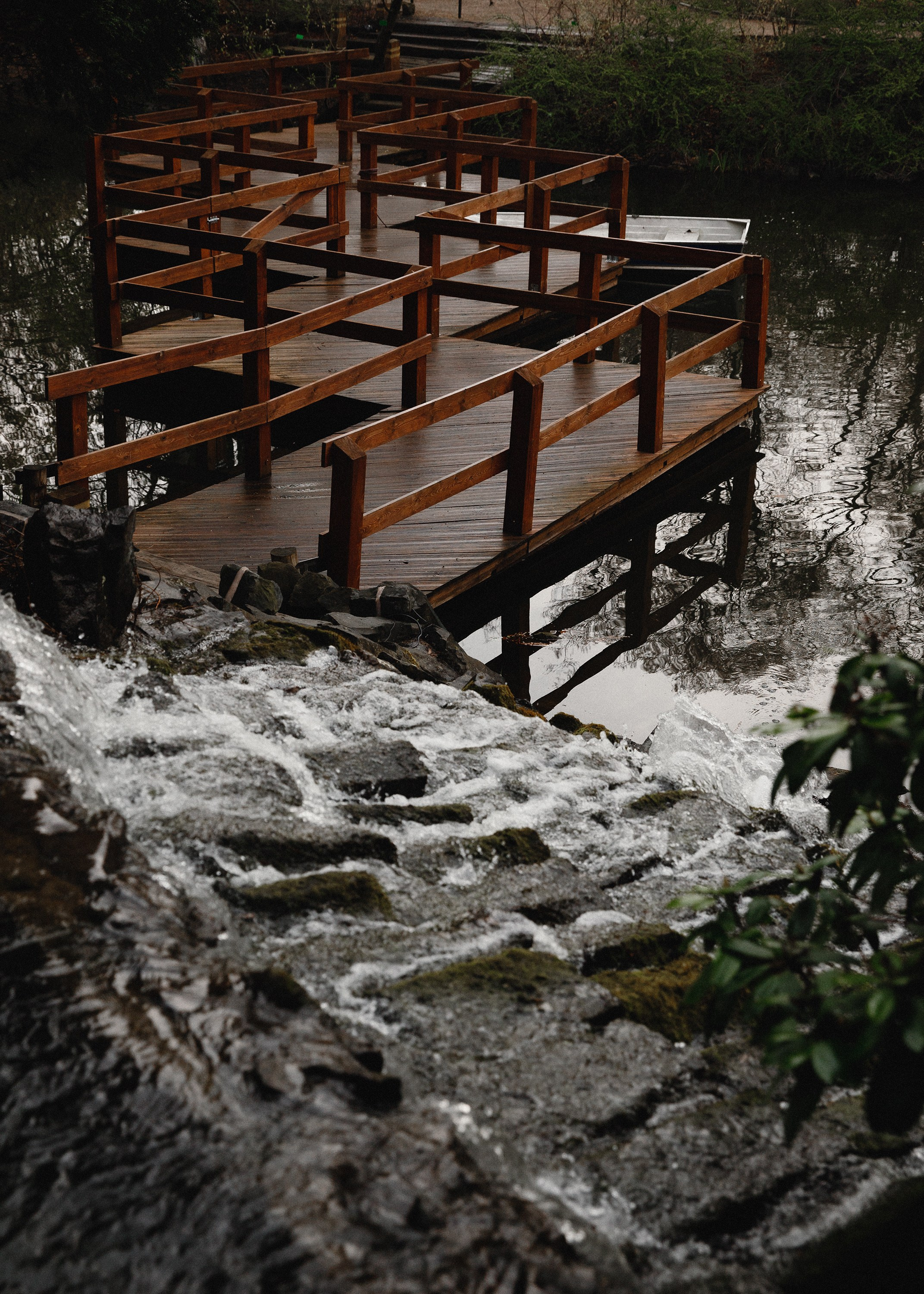 Botanical garden in Wroclaw. Kaja | fotograf we Wrocławiu | ludzie i psy