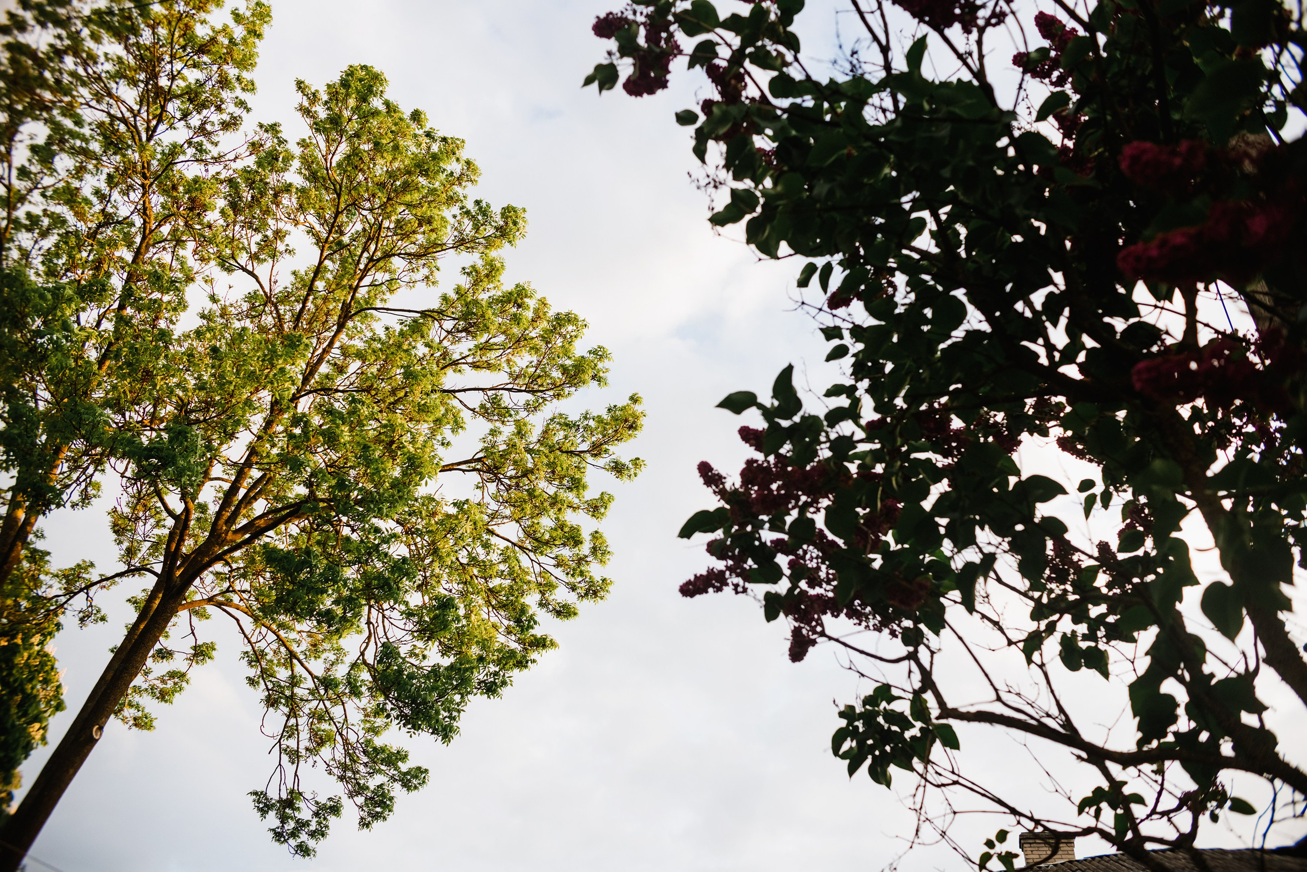 Grodno. Kaja | fotograf we Wrocławiu | ludzie i psy