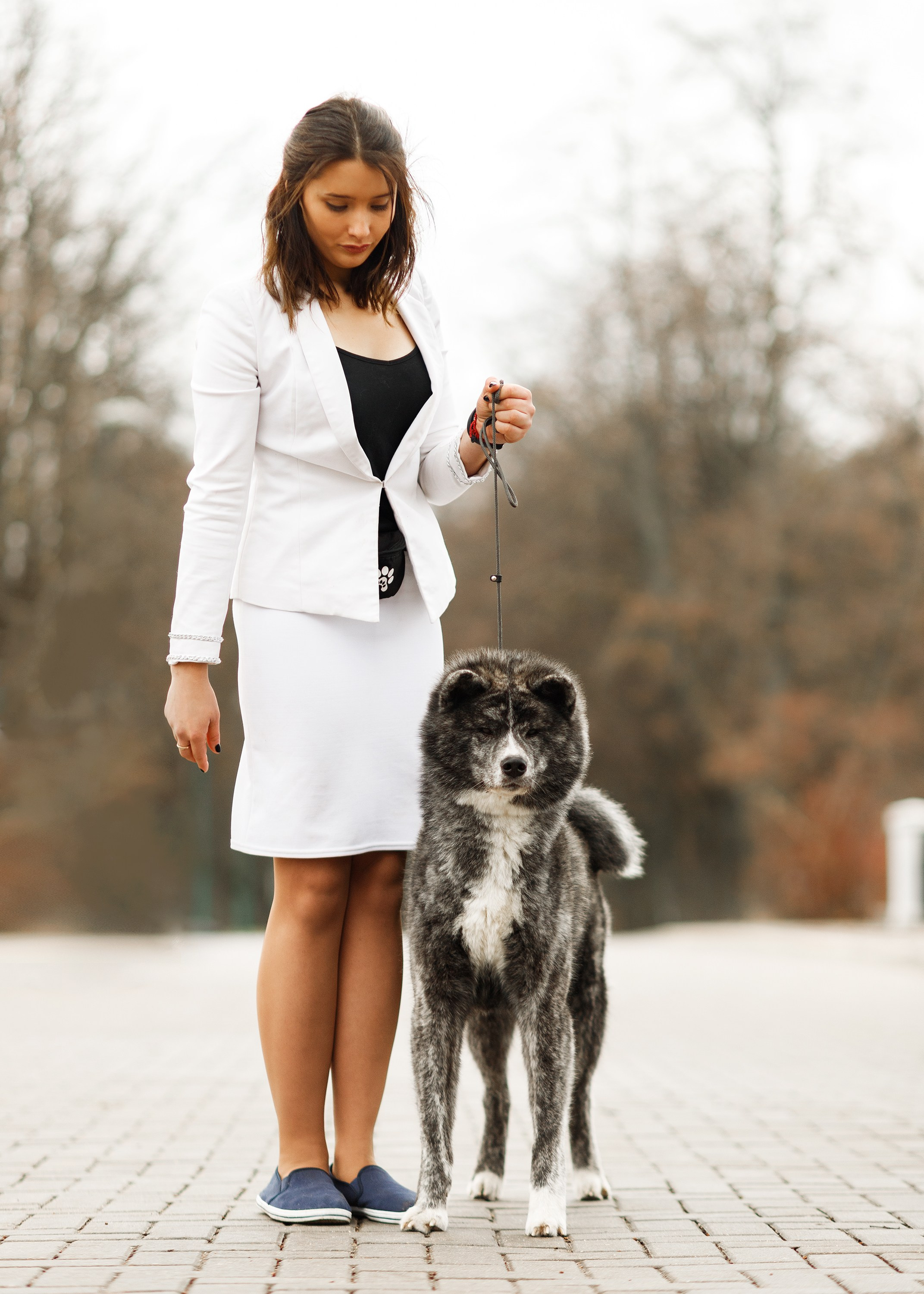 Dog shows | the best ones. Kaja | fotograf psów we Wrocławiu