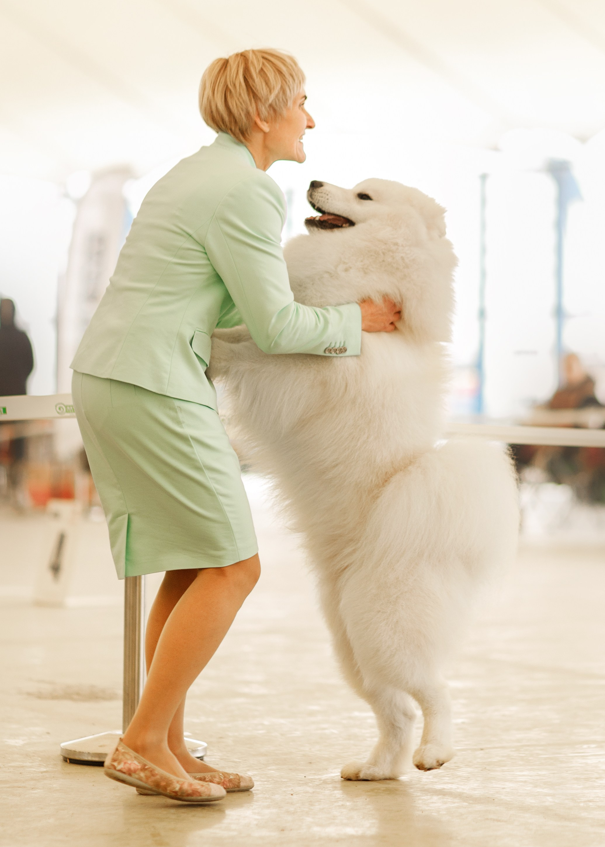 Dog shows | the best ones. Kaja | fotograf psów we Wrocławiu