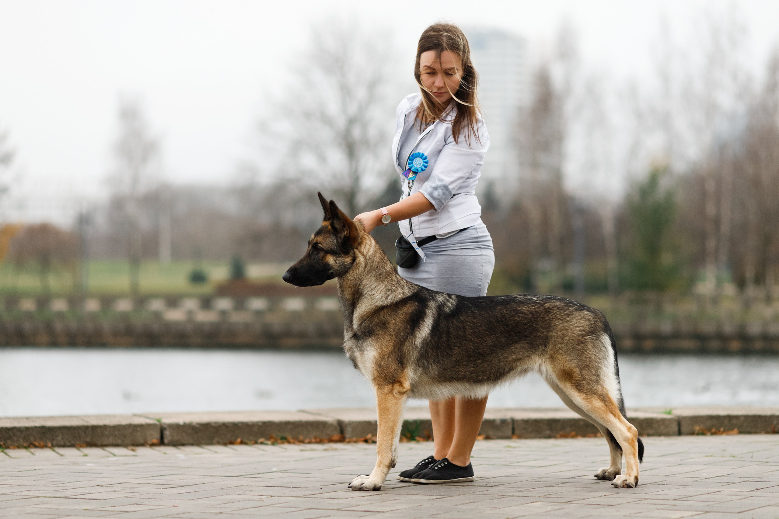 Dog shows | the best ones. Kaja | fotograf psów we Wrocławiu