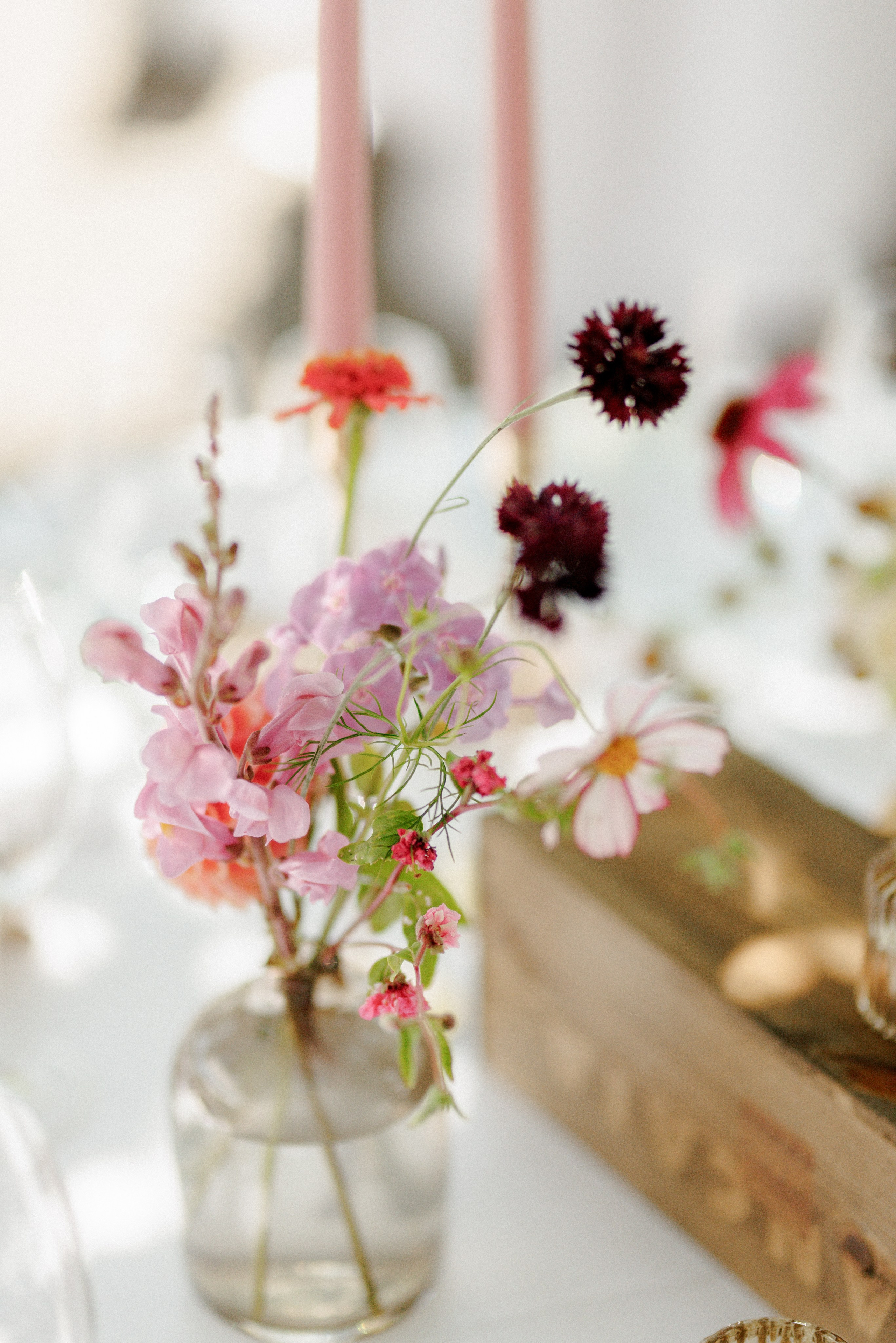 N&M. Familien- & Hochzeitsfotografin Schweiz. Valeria Diaz in Zürich und Umgebung