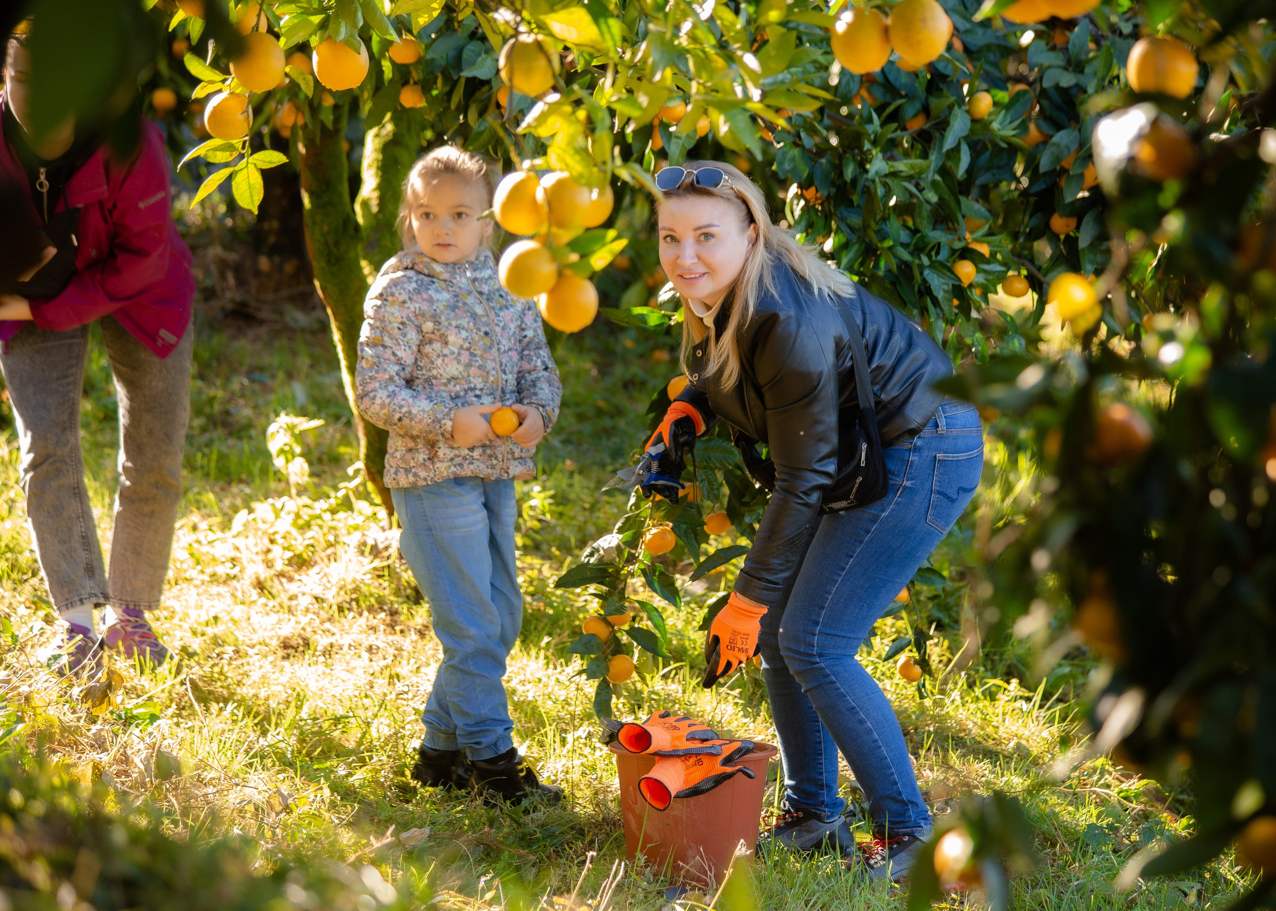 Event. PHOTOSTORYNIKA