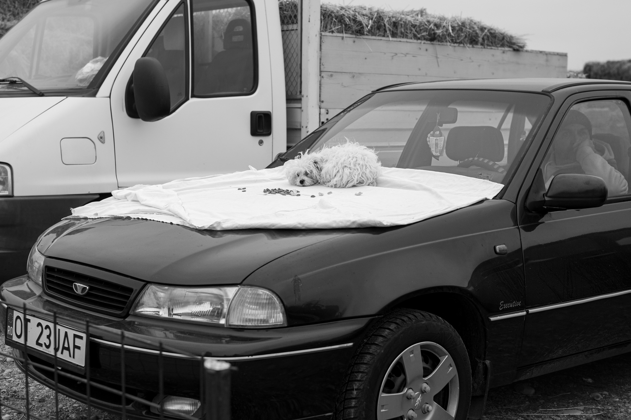 Romanian Markets. Geany Cazan