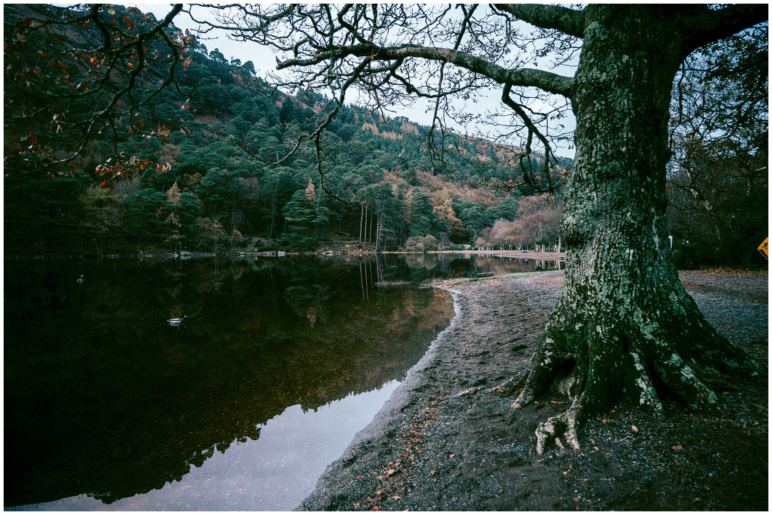 IRELAND. Inna Mendelson — Photographer