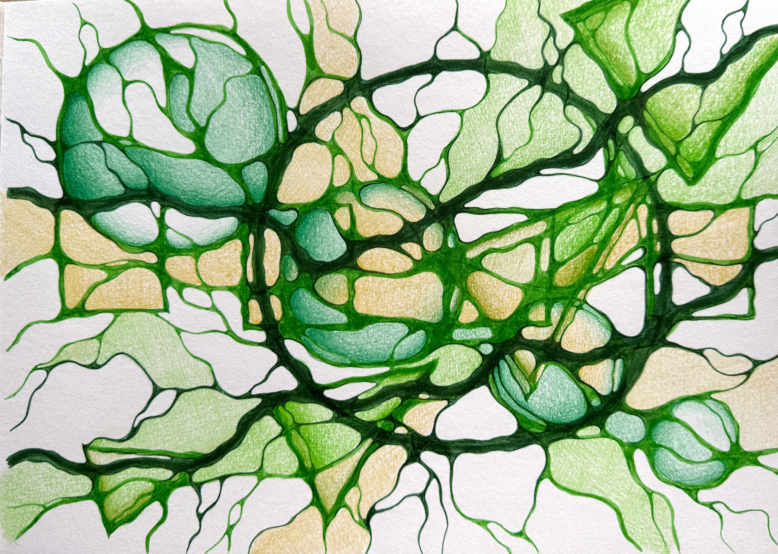 Moje slike. Numerologija. Nevrografika. Delavnice