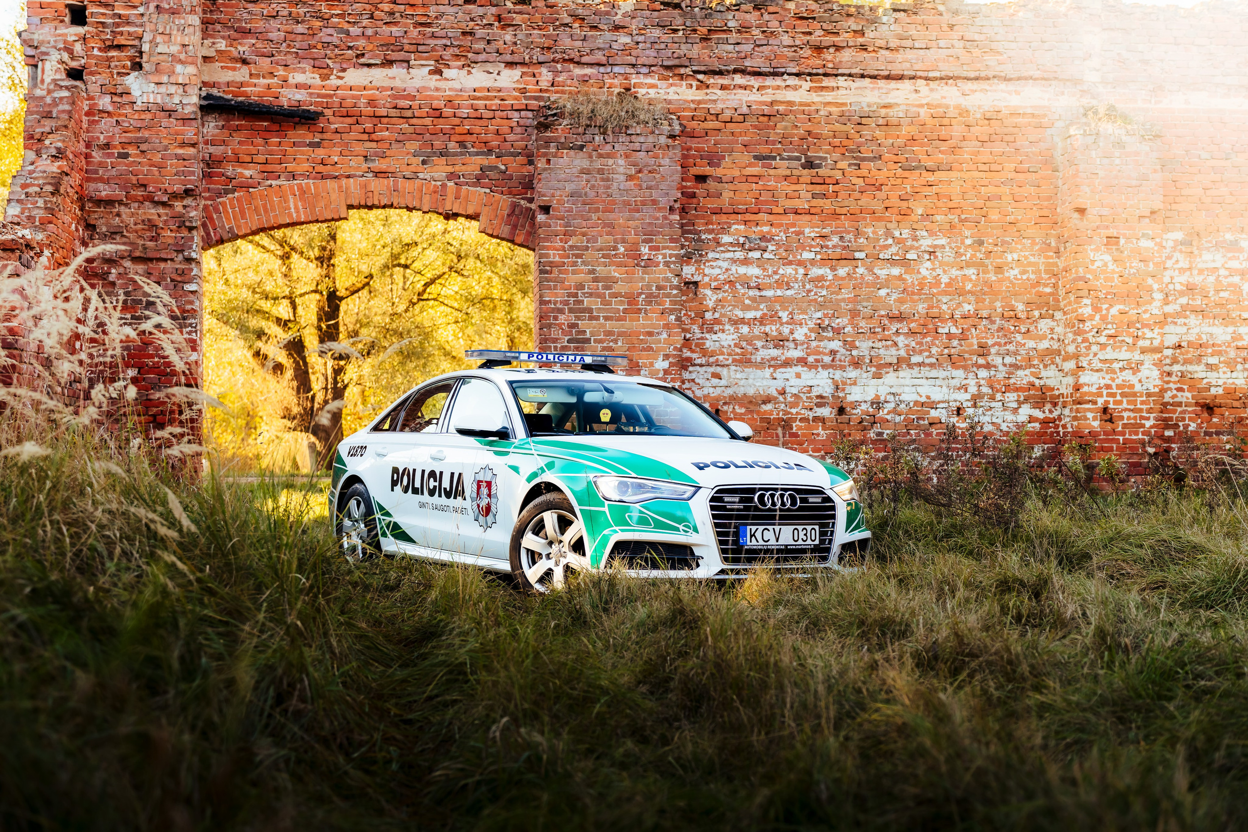 Police Cars. OnePIXEL