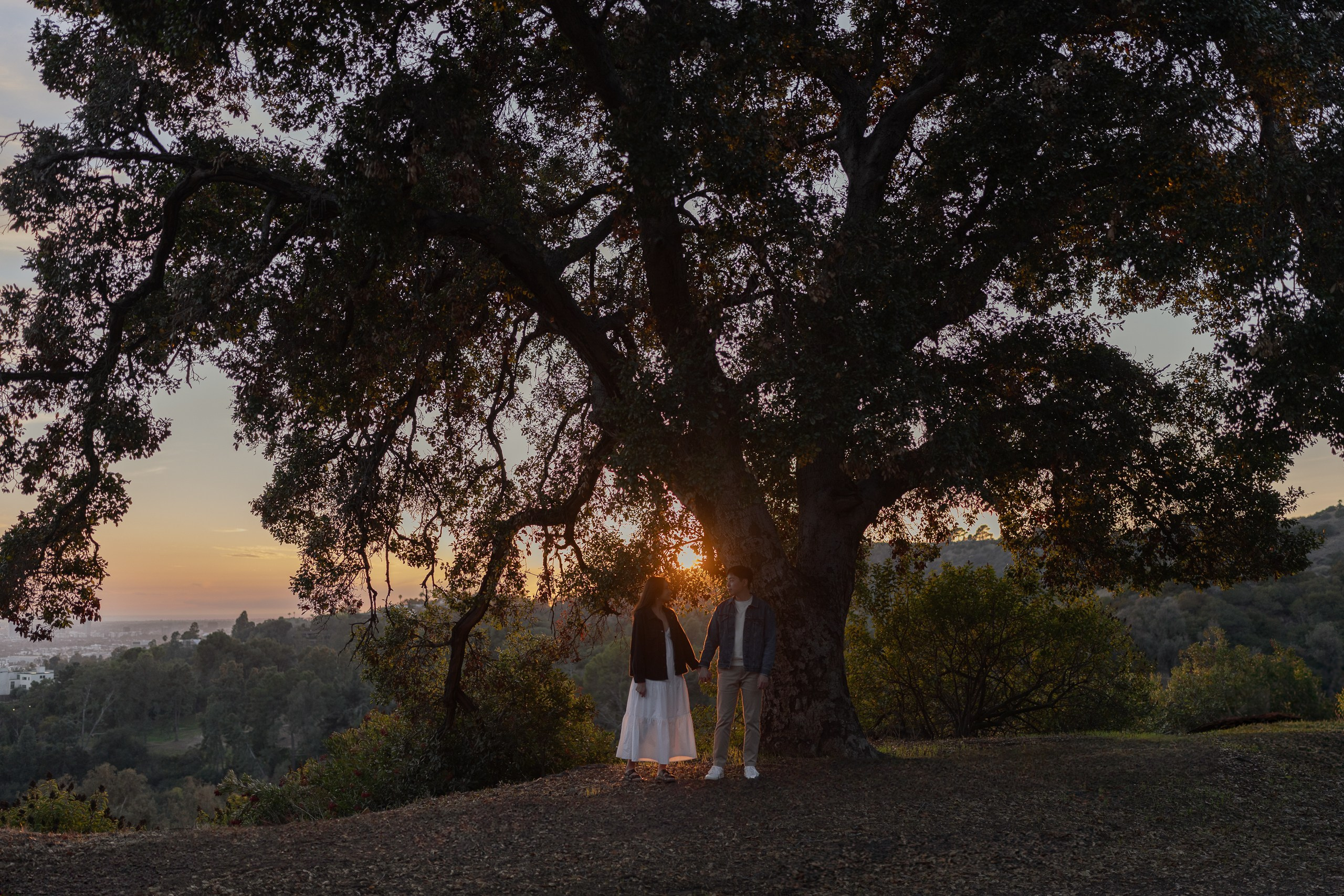 Emilia & Daniel. Cinematic Wedding & Elopement Photography in Los Angeles | Inspired by Indie Film & Real Life