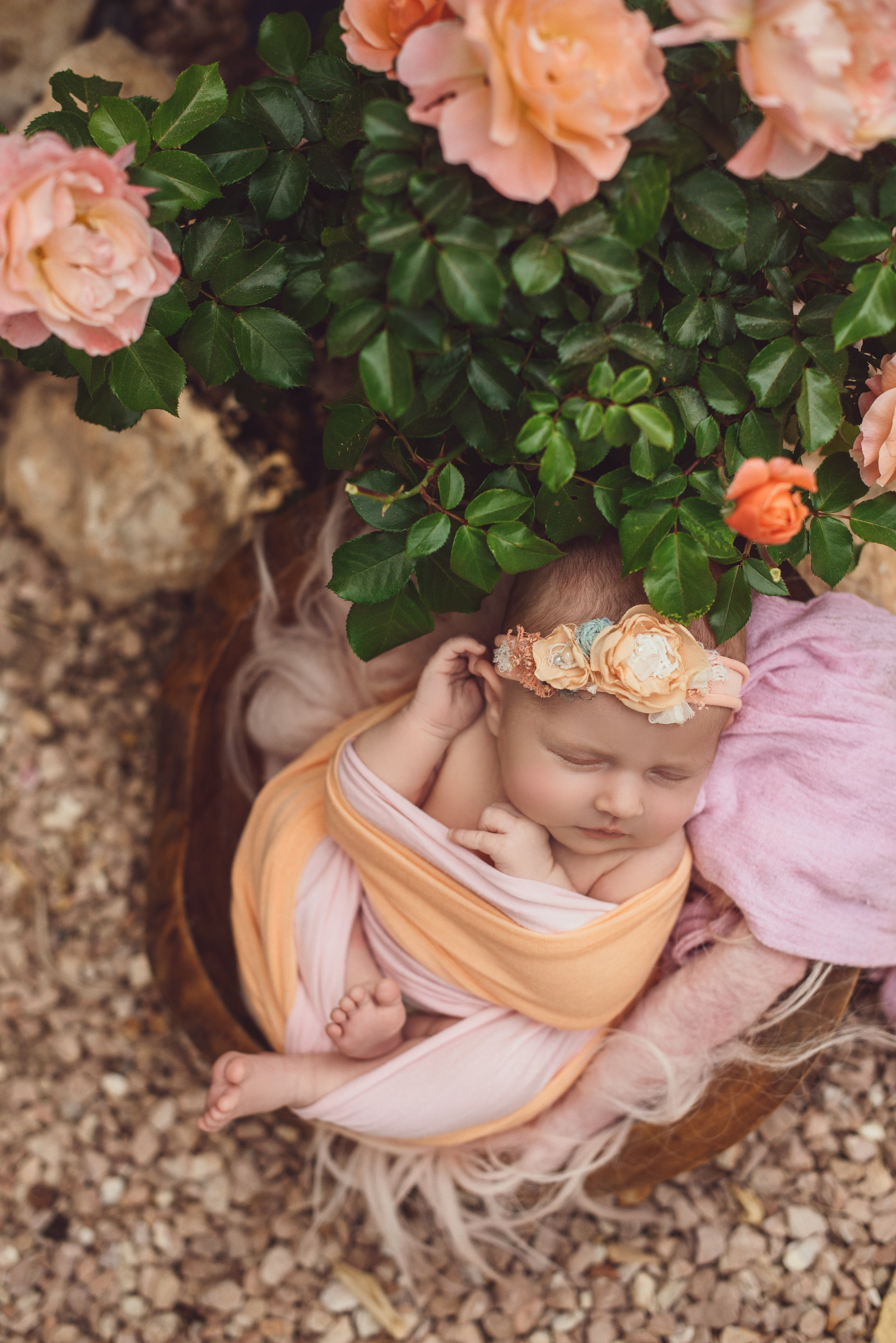 Naturaleza. Https://newbornphoto.wfolio.pro/me