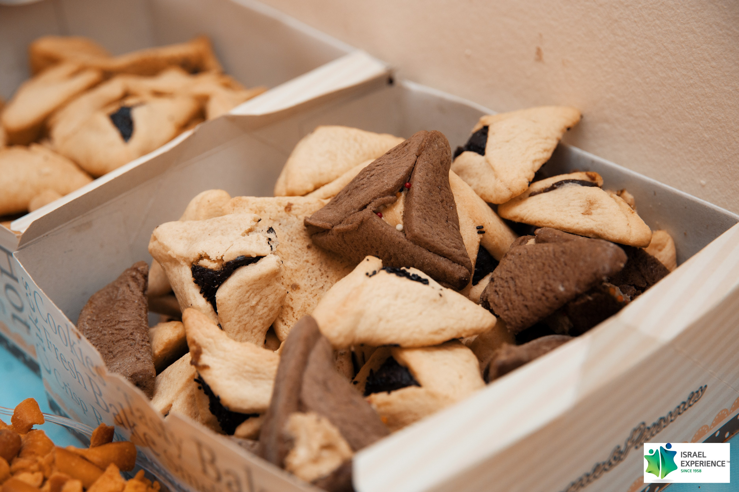 MASA Пуримский квиз. Портретный и репортажный фотограф в Израиле Рома Бирман