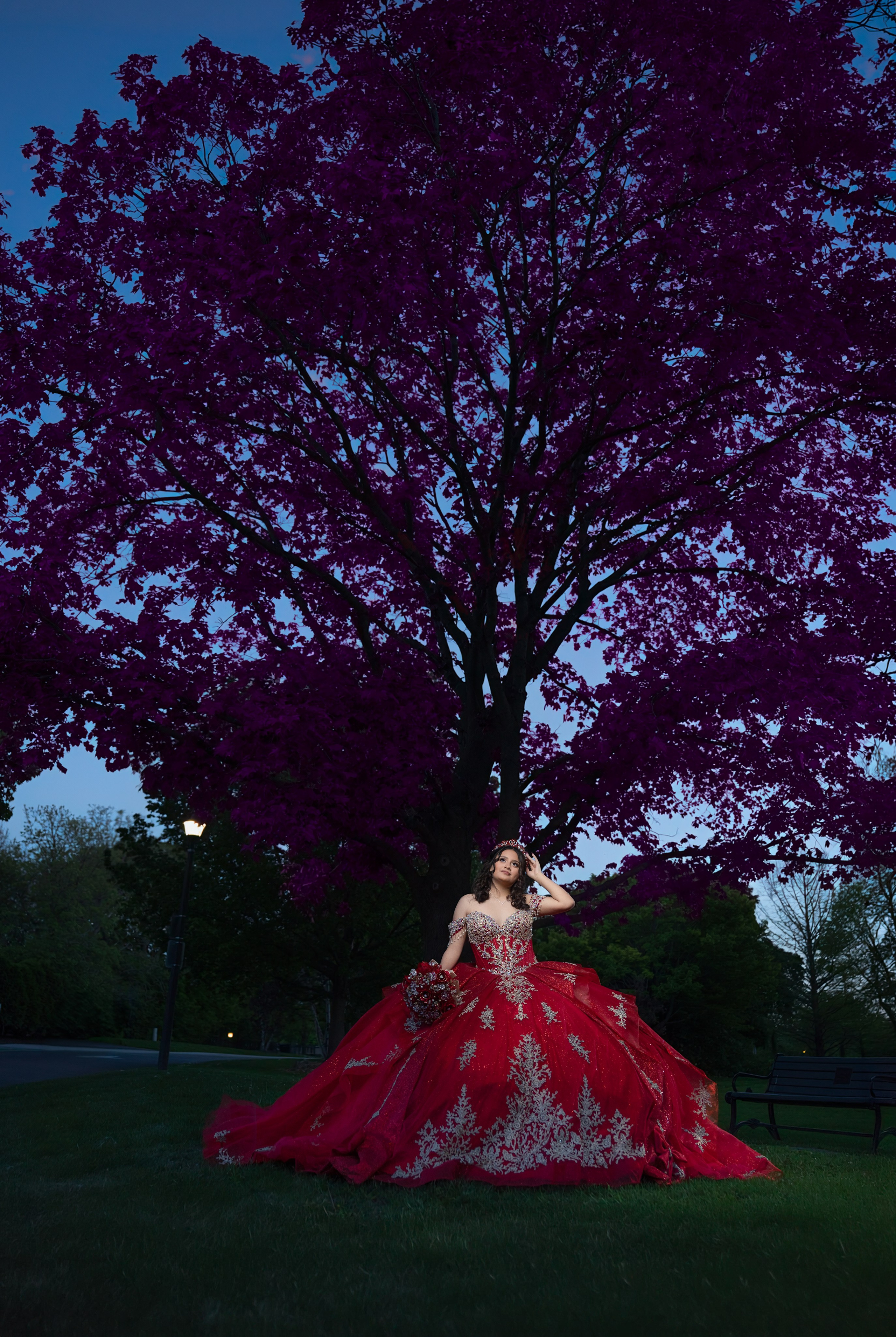 Hilari XV. Quinceañera y Bodas