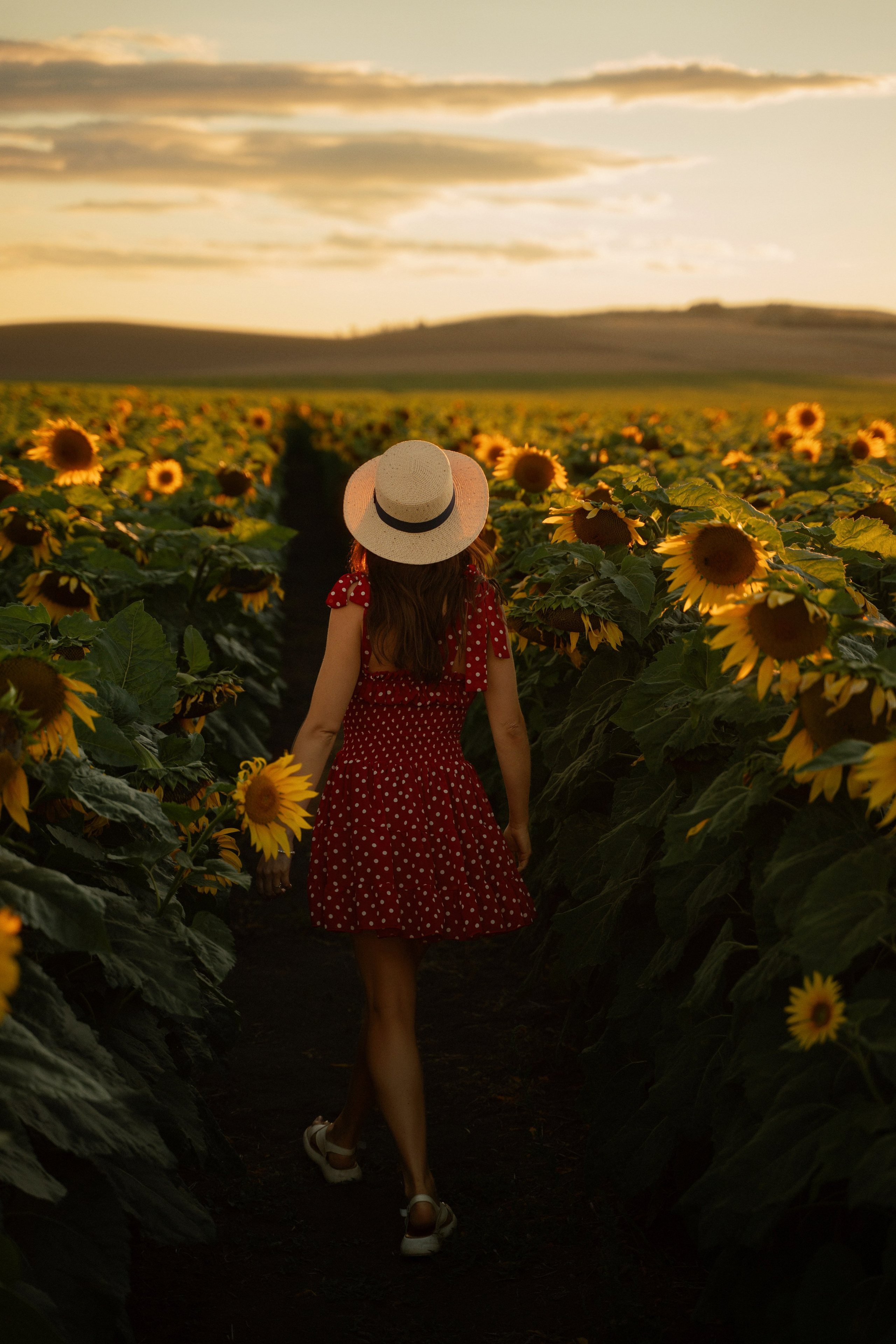Sunflower field portrait of young model at sunset, photographed by Marbella portrait photographer