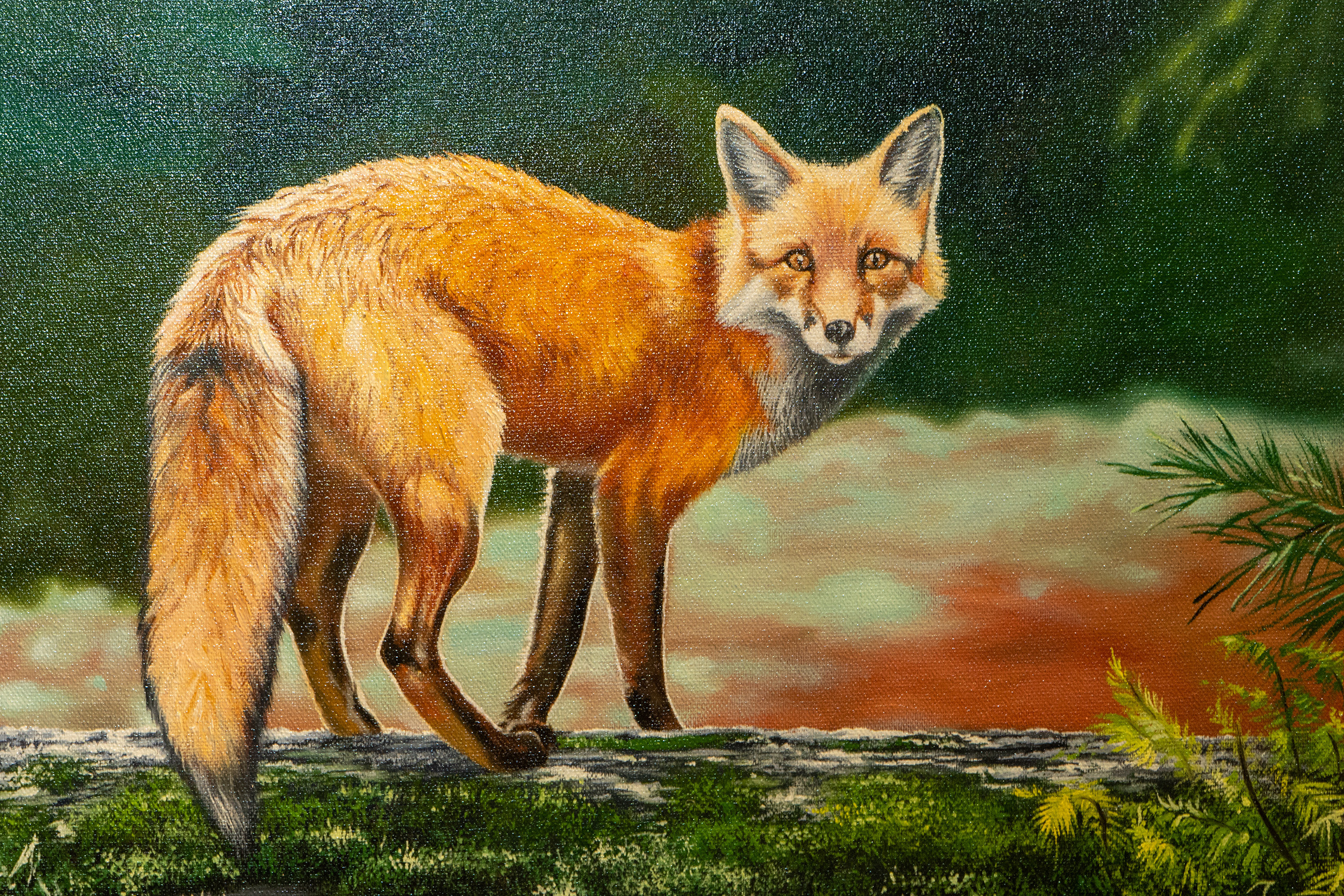 Открытие выставки. Фотограф в Батуми Елена Огонёк