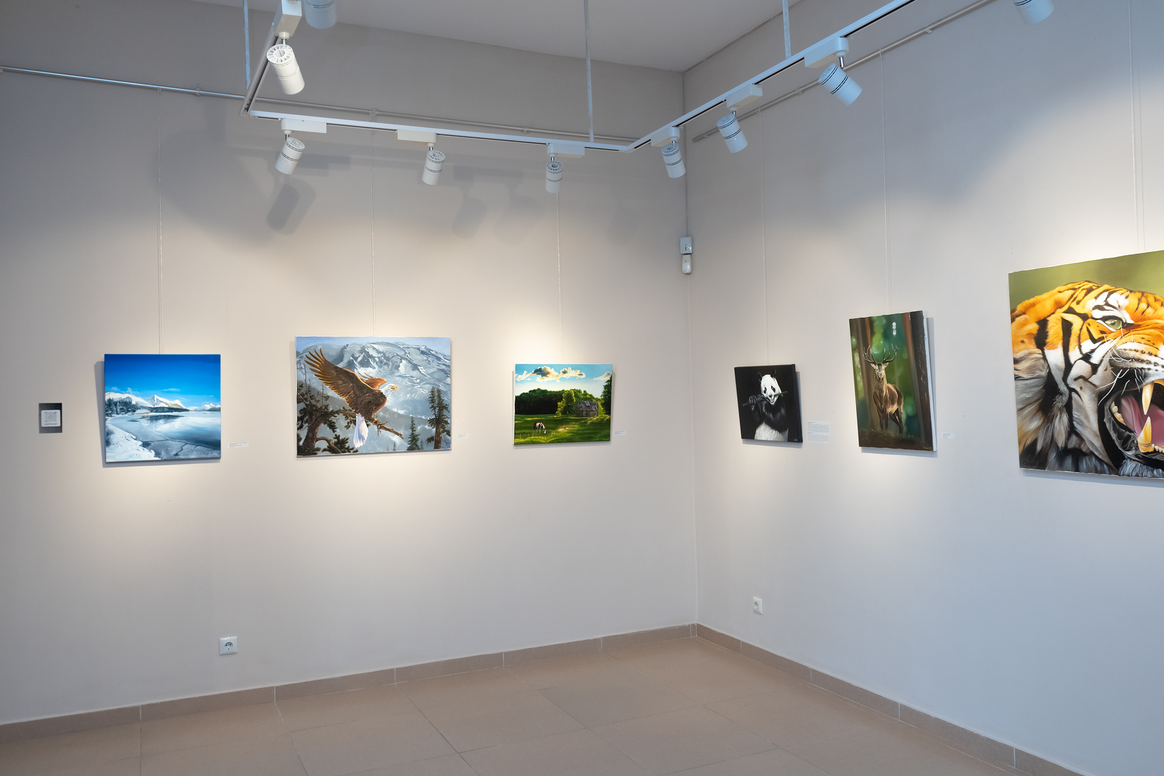 Открытие выставки. Фотограф в Батуми Елена Огонёк