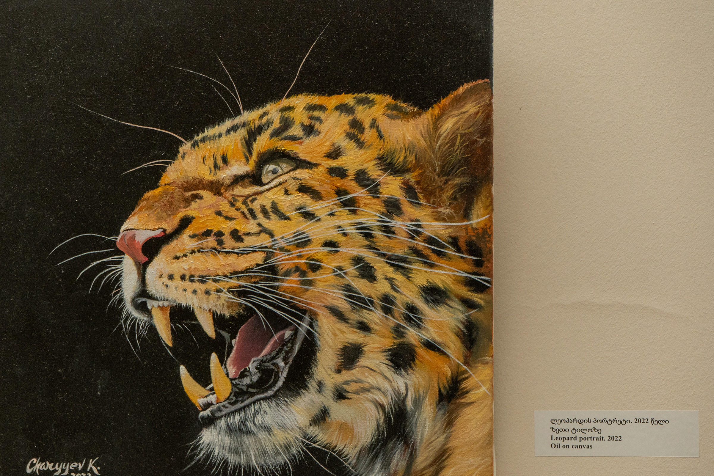 Открытие выставки. Фотограф в Батуми Елена Огонёк