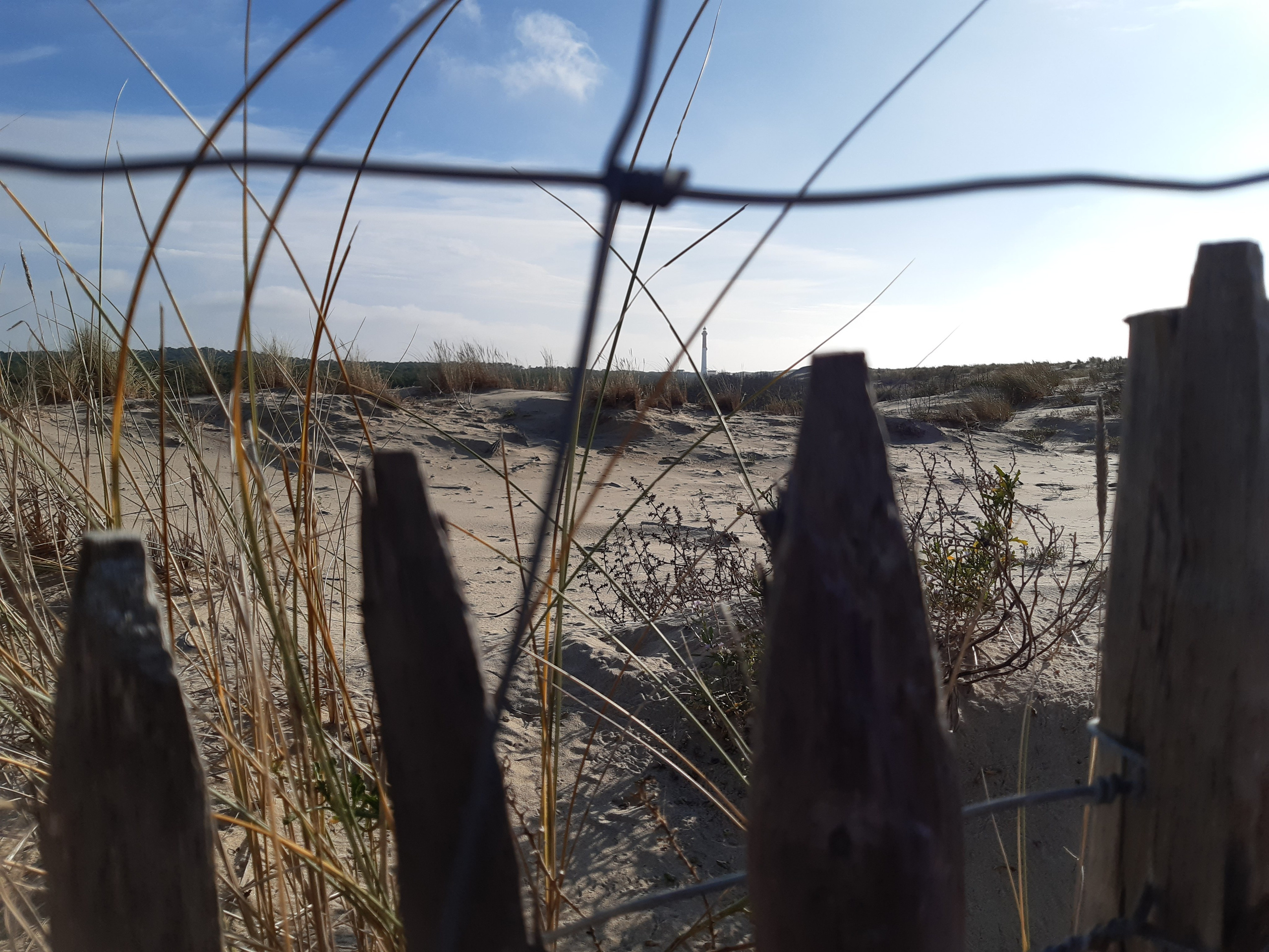 Materials collection and inspiration. Anne-Flore REY, Artist — Painter and Sculptor in TOULOUSE (FR)