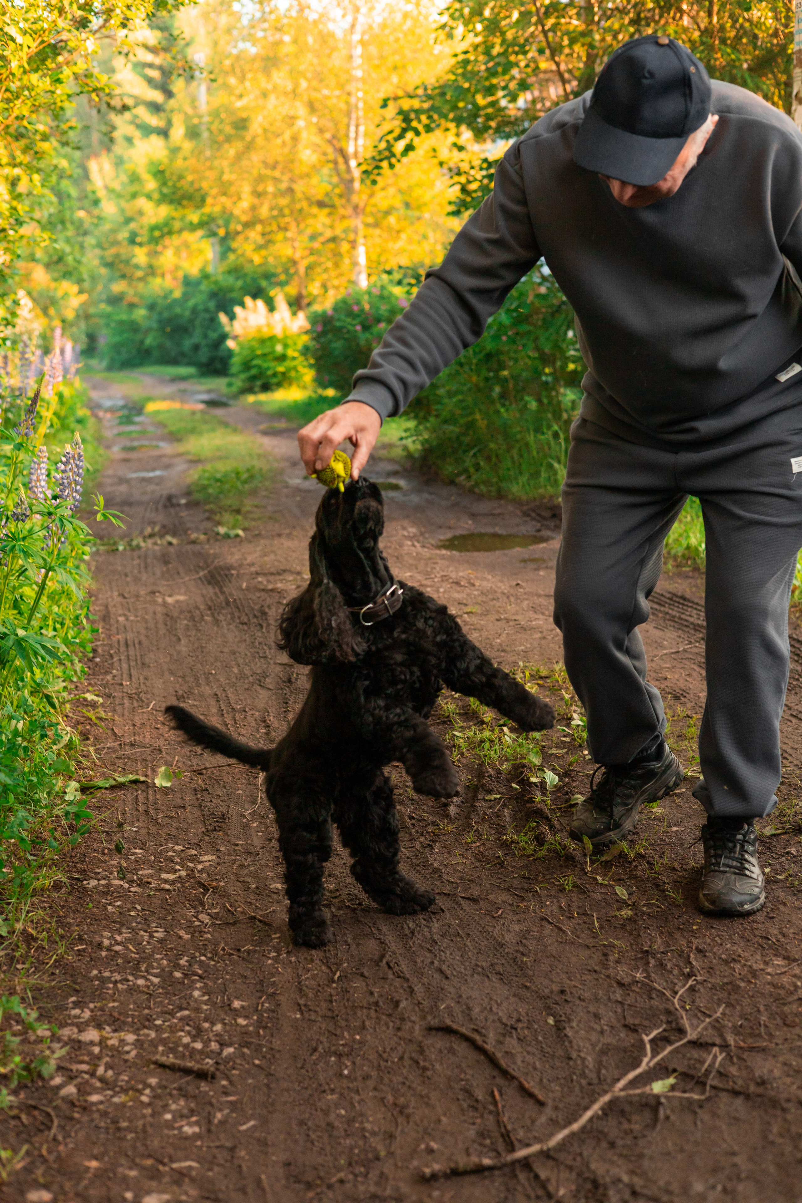 Александр, Катюша и Ендейк. Фотограф-анималист | Белград