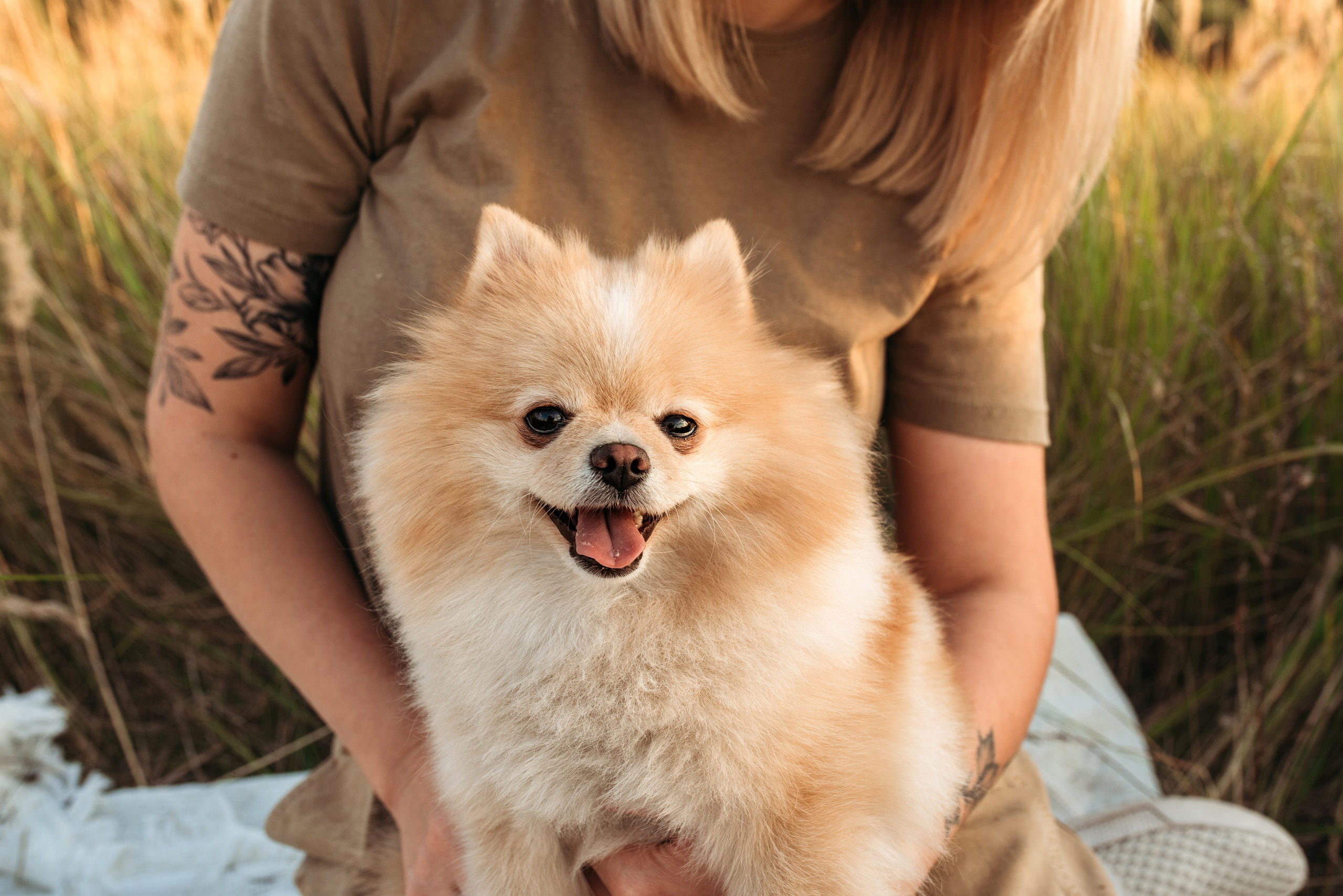 Marina & Artem & Timur. Familien- und Hochzeitsfotografin. Ich arbeite in Koblenz und Rheinlan