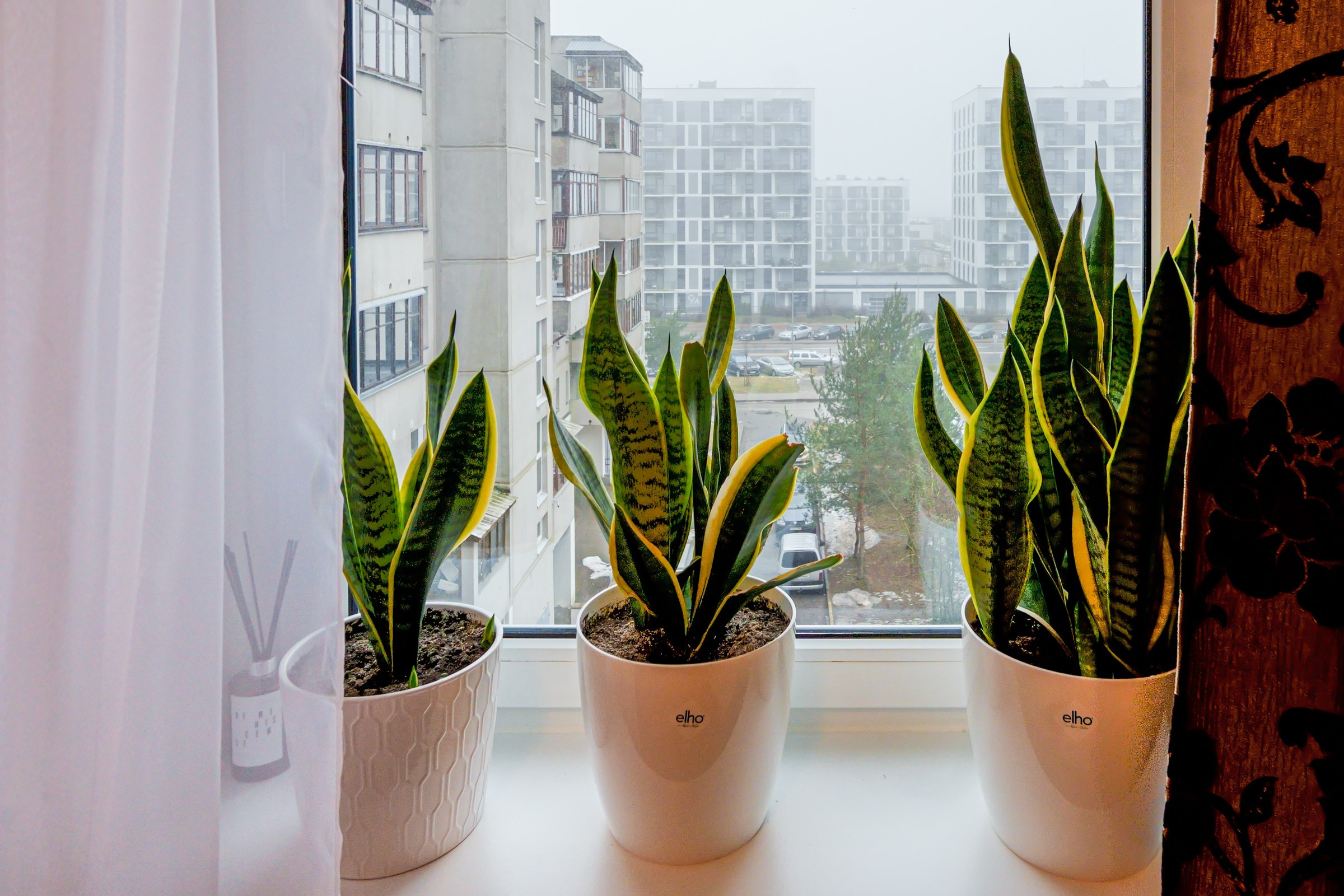 Vydūno g. 27. Elina Sapiega fotografė Vilniuje