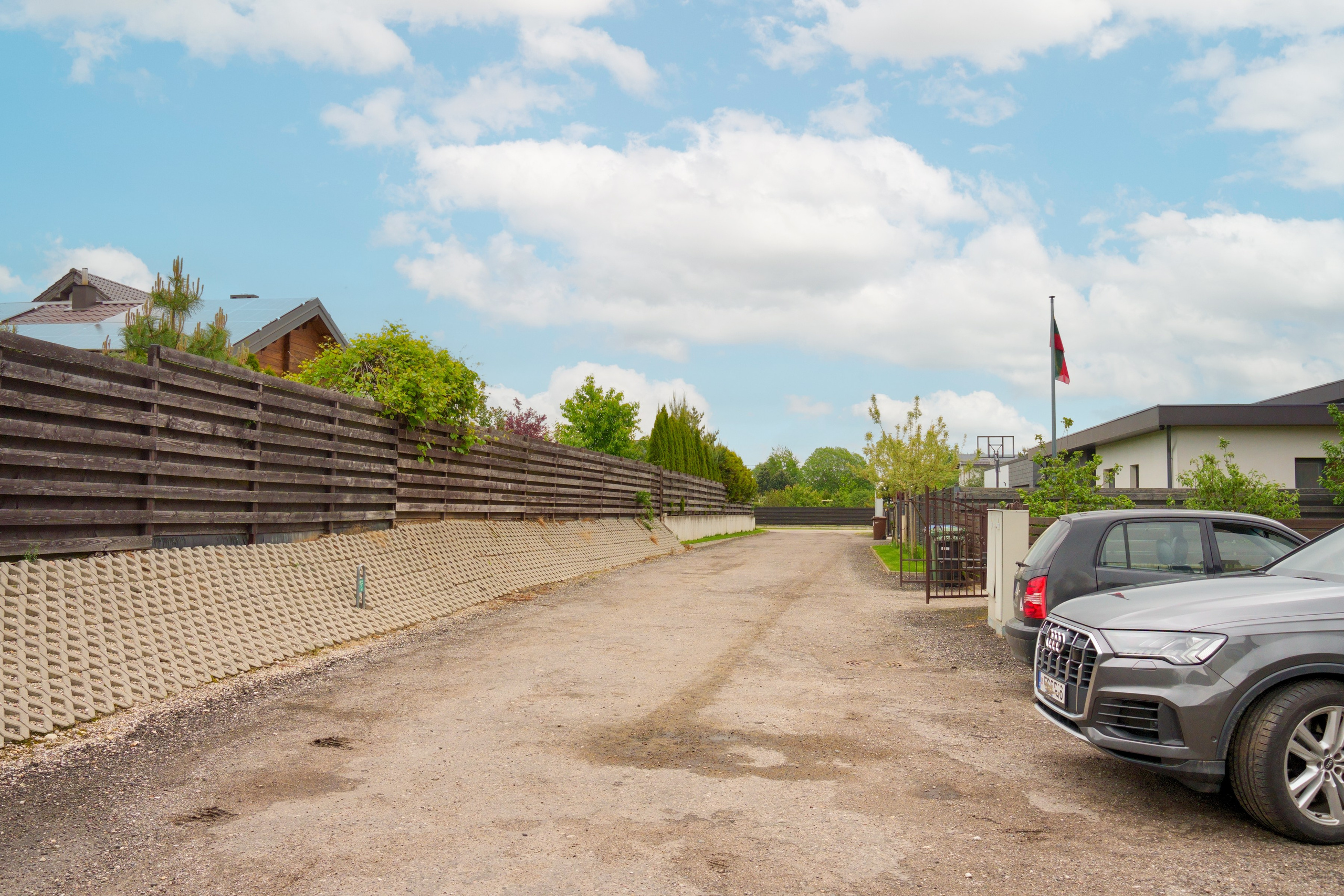 Tarandė. Elina Sapiega fotografė Vilniuje