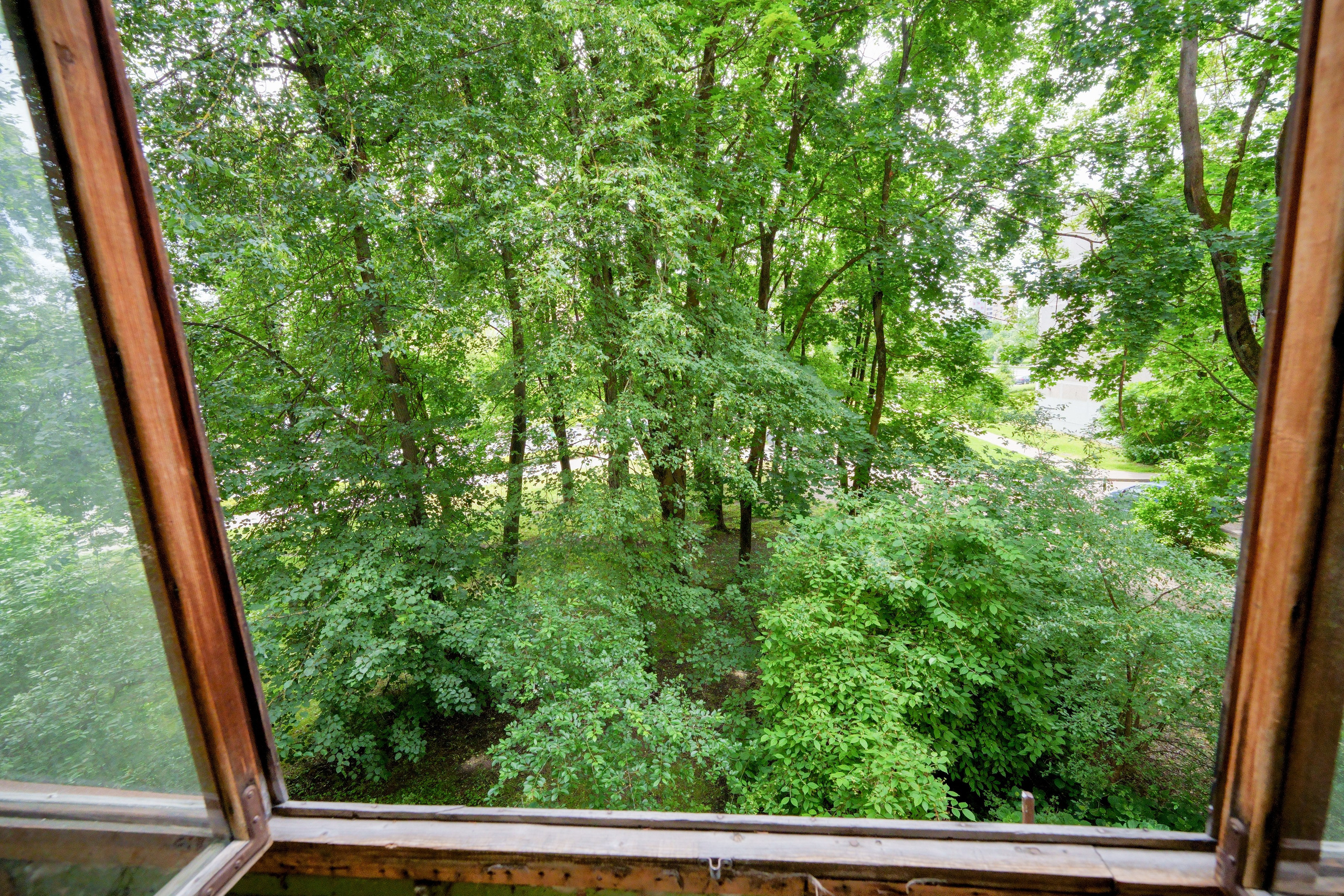 Apkasu g. 21. Elina Sapiega fotografė Vilniuje