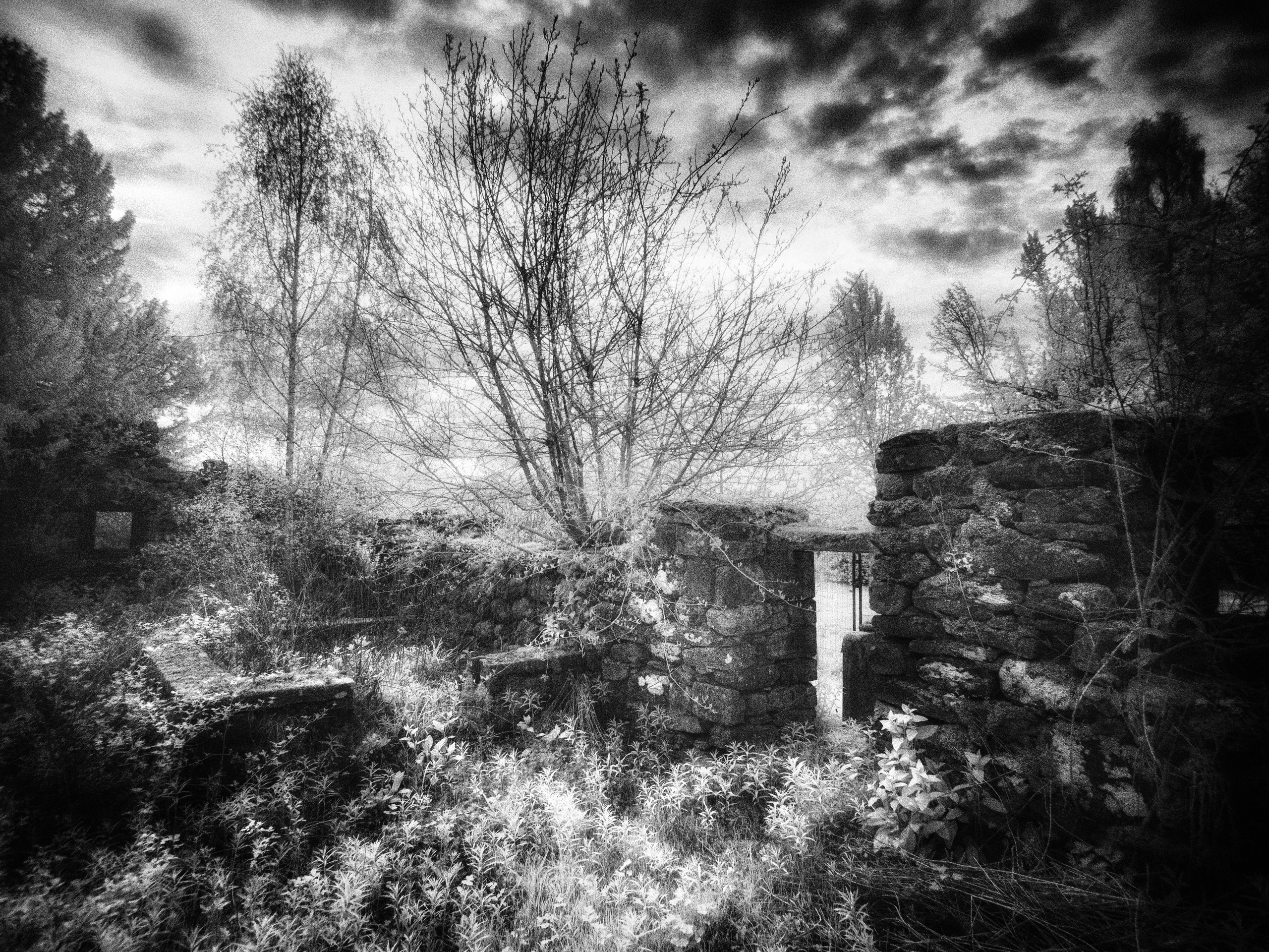 Churches and Graveyards. Infrared Scotland