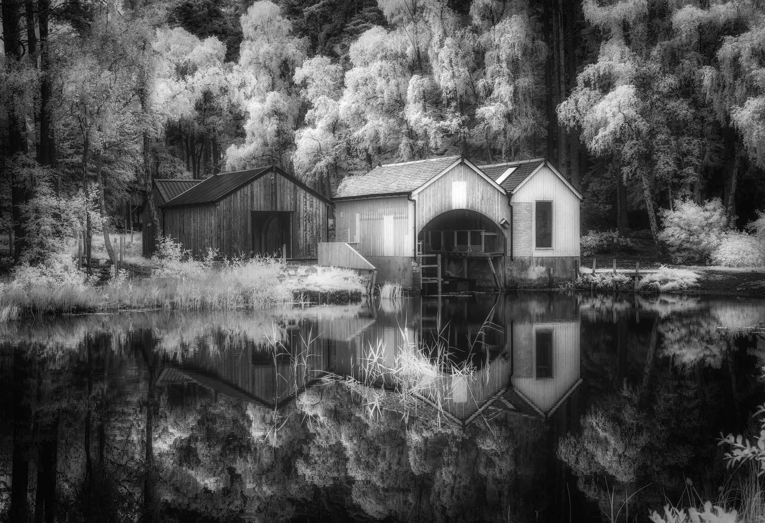 The Land. Infrared Scotland