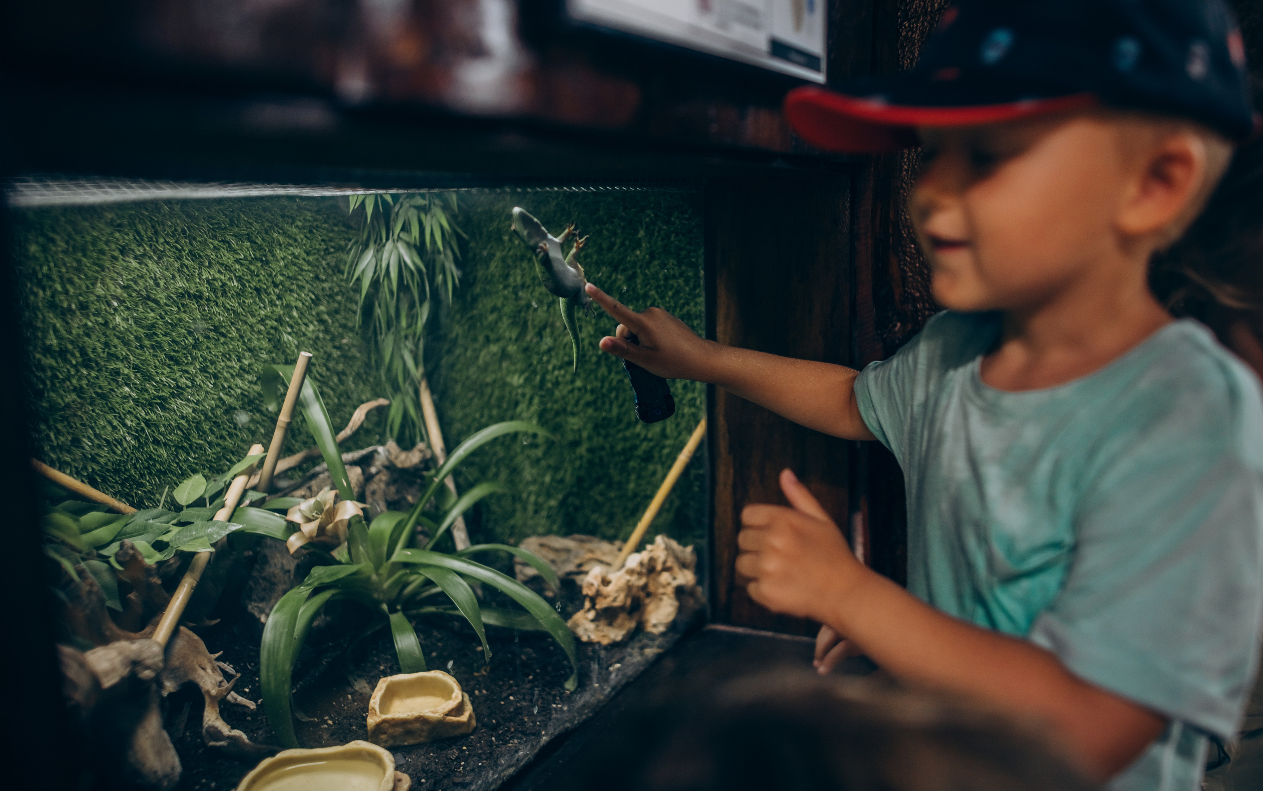 Kids birthday in aquapark. Photographer in Mallorca