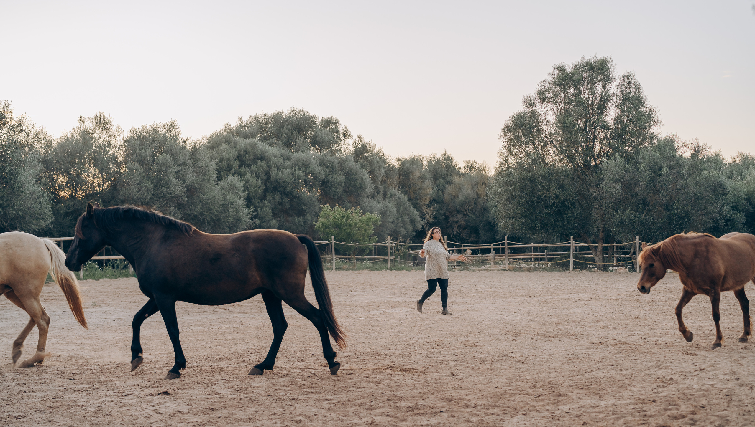 Photo session with horses. Photographer in Mallorca