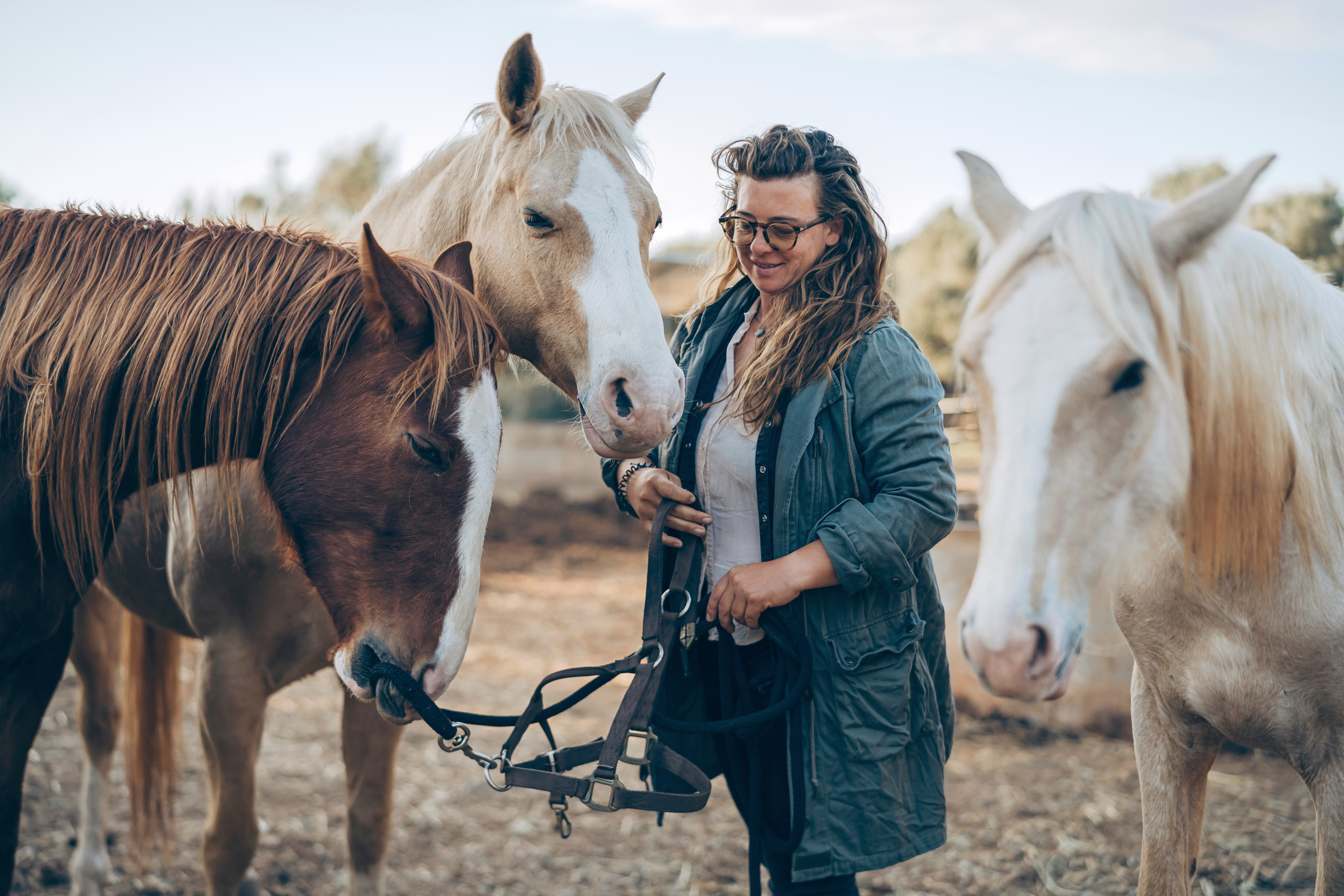 Photo session with horses. Photographer in Mallorca