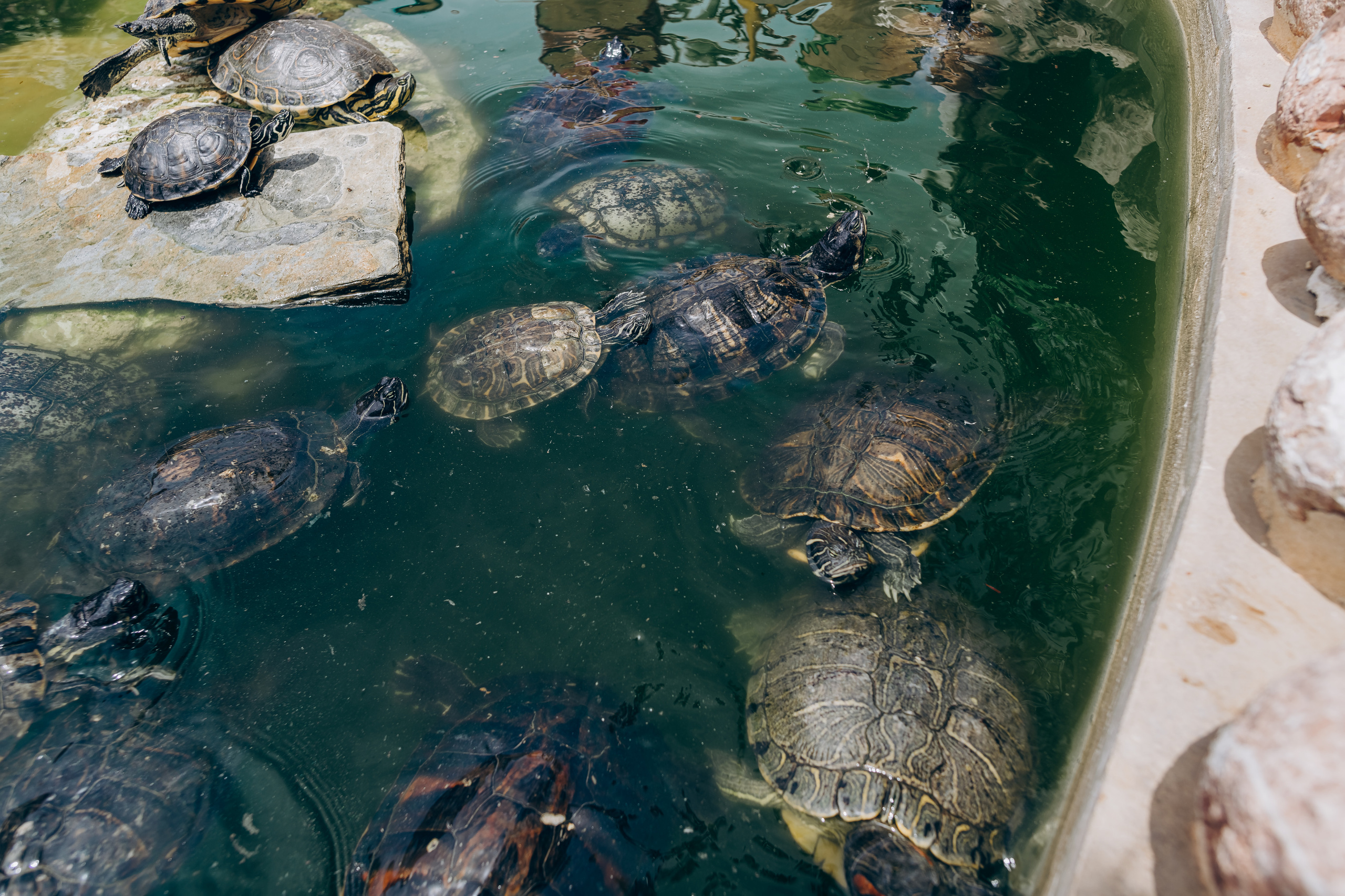 Kids birthday in aquapark. Photographer in Mallorca