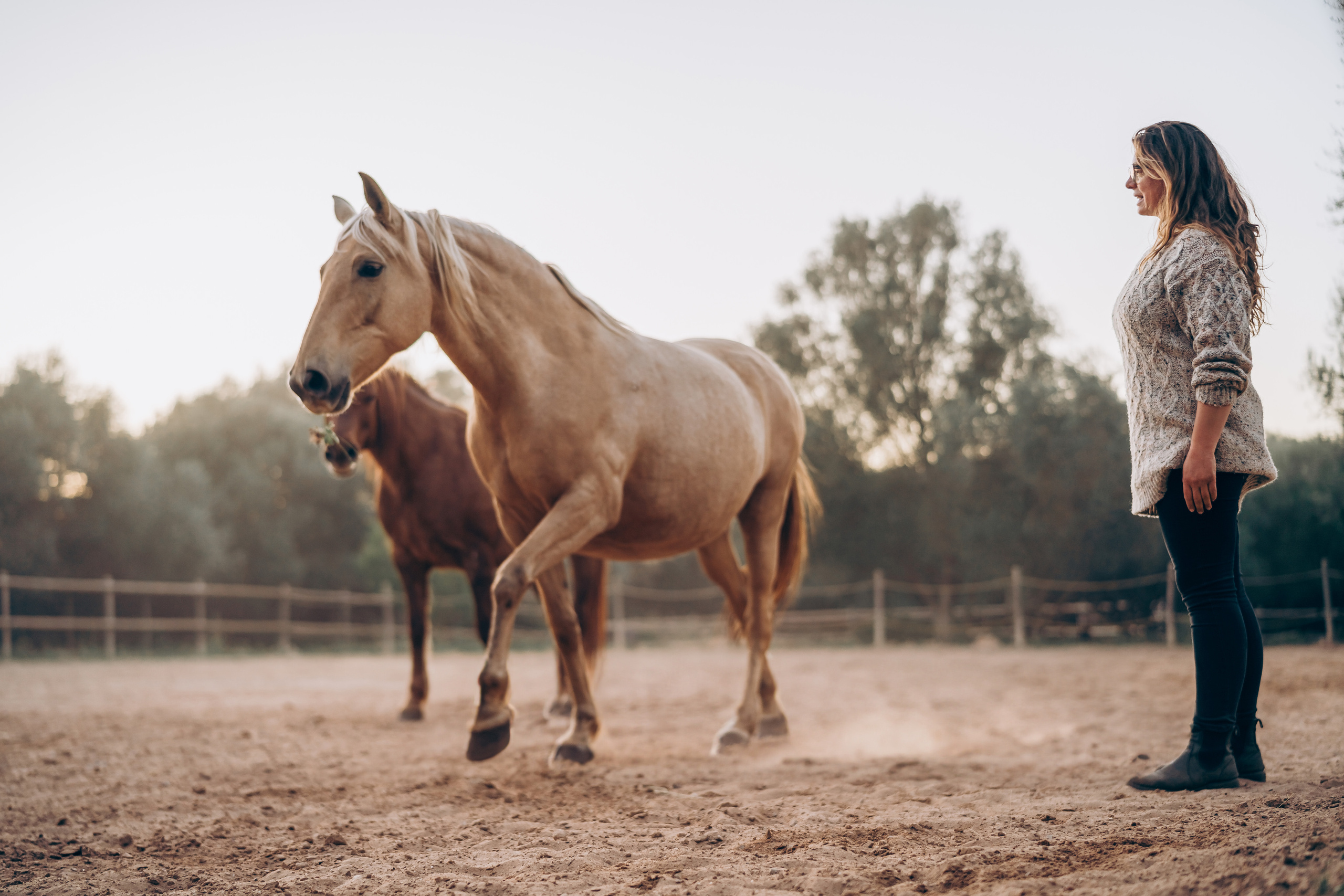 Photo session with horses. Photographer in Mallorca