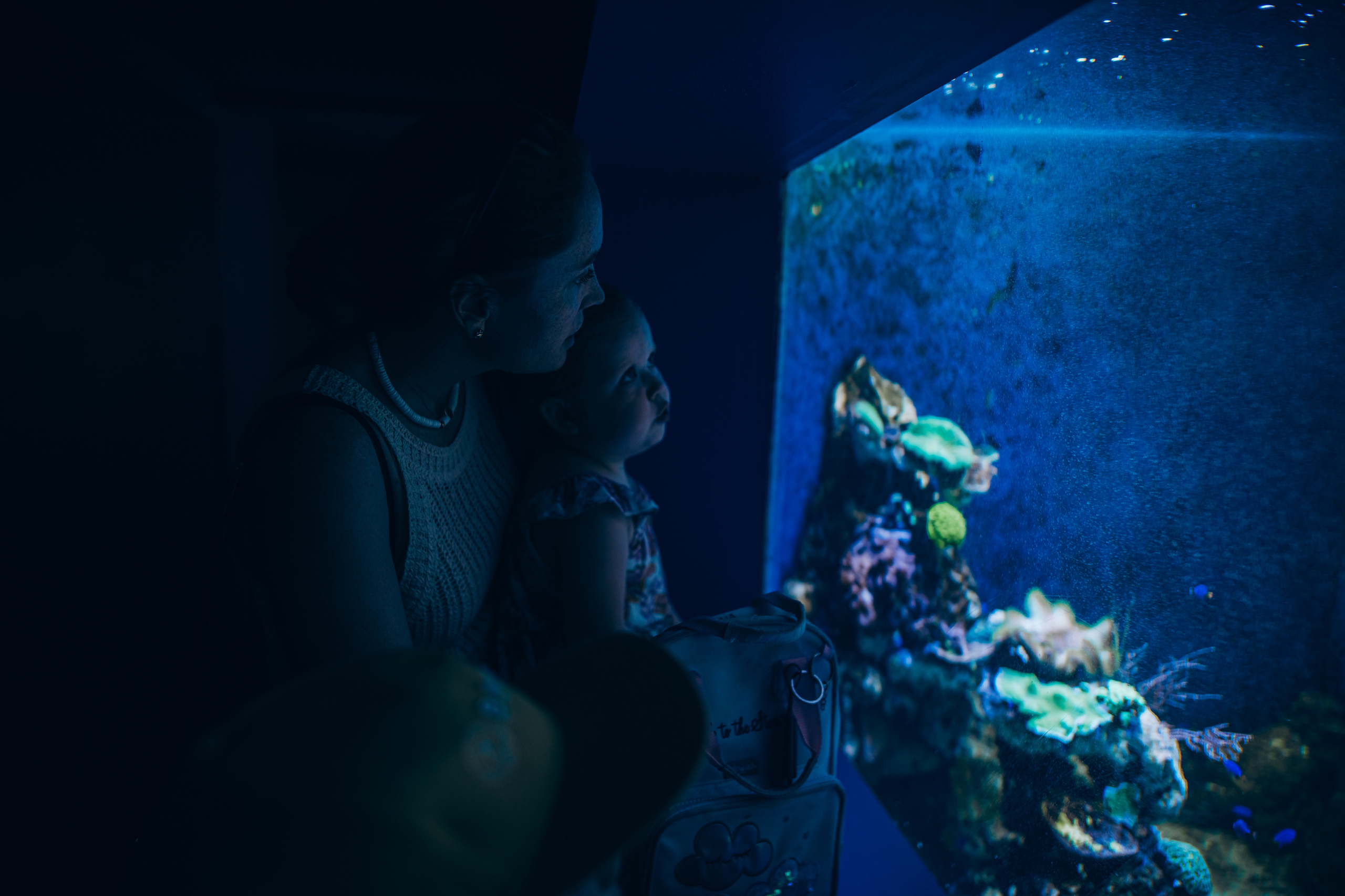 Kids birthday in aquapark. Photographer in Mallorca