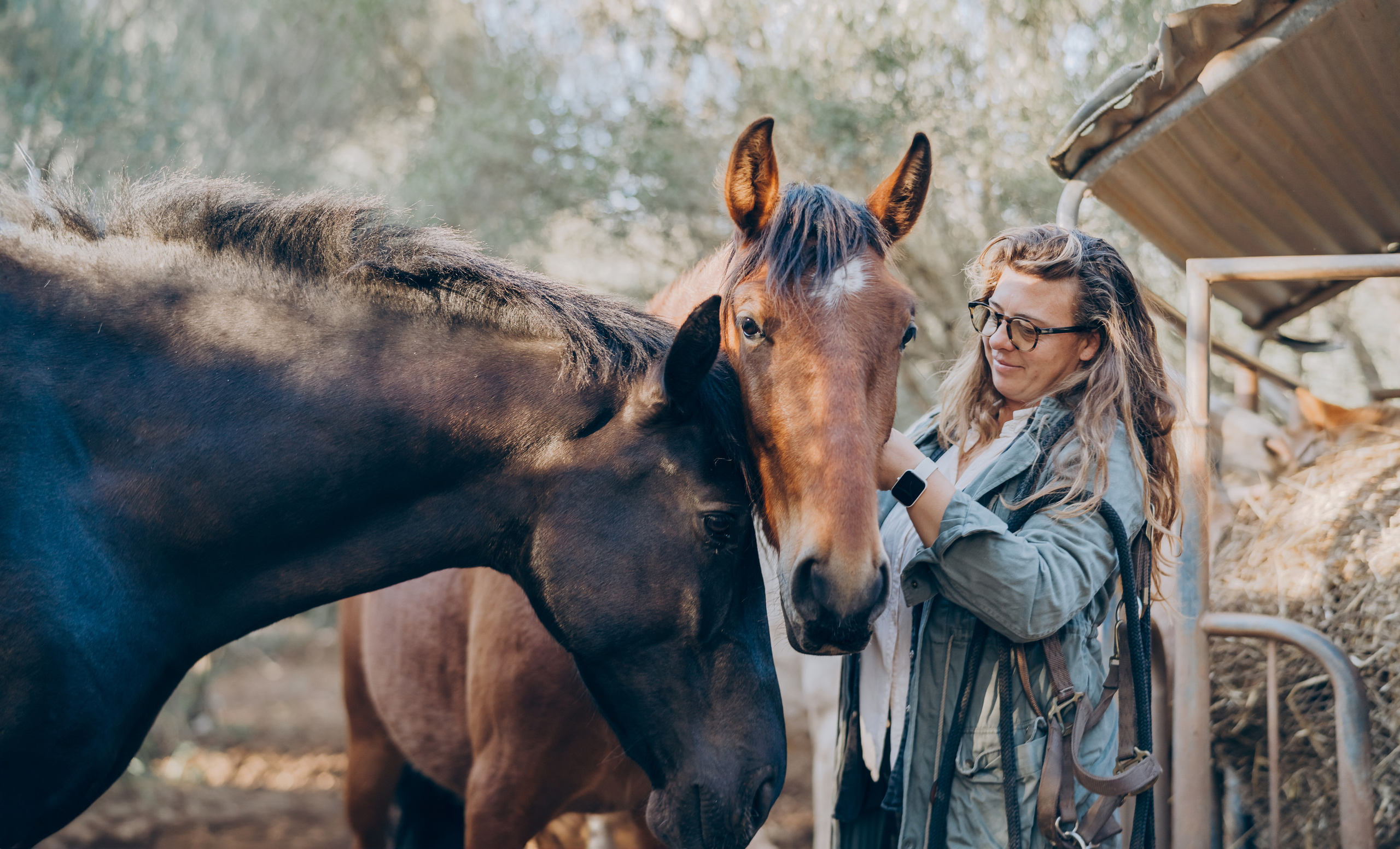 Photo session with horses. Photographer in Mallorca