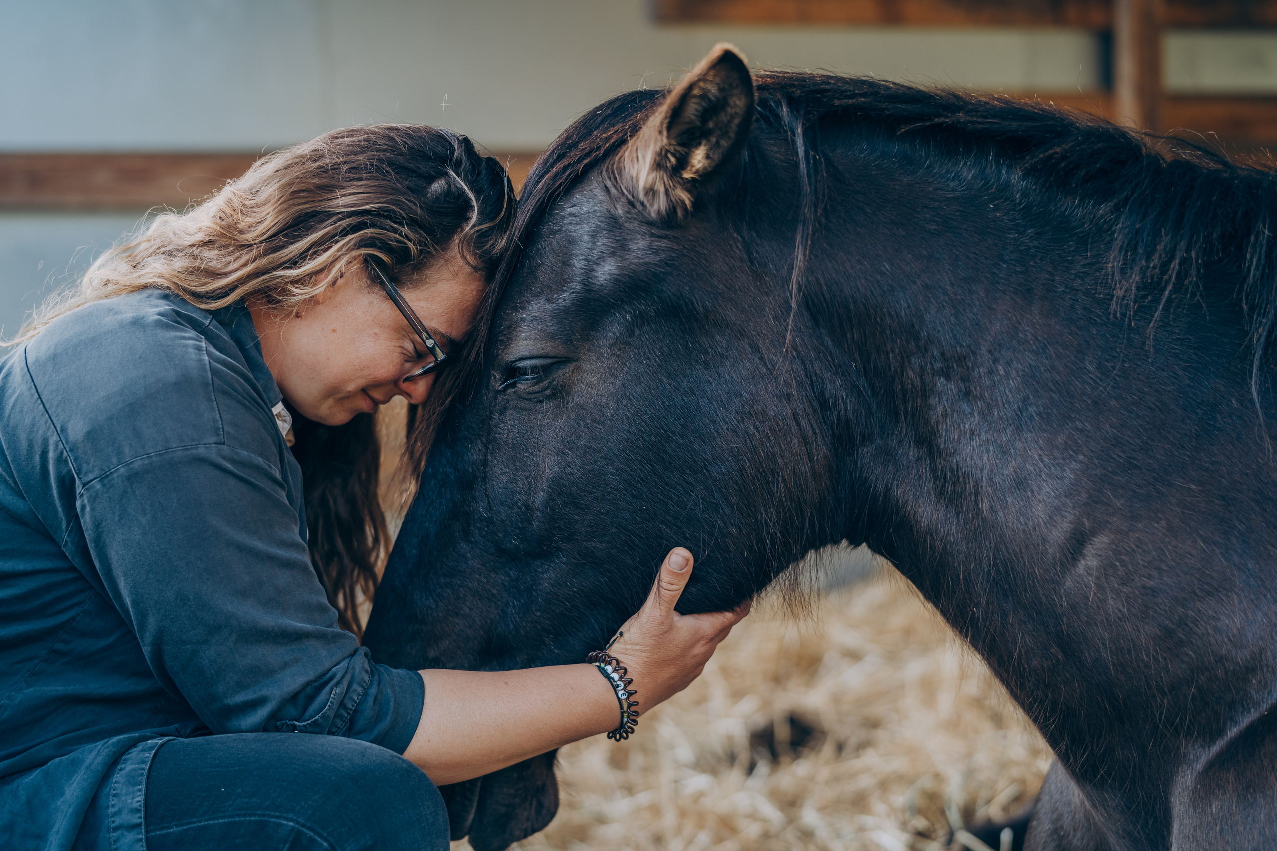 Photo session with horses. Photographer in Mallorca